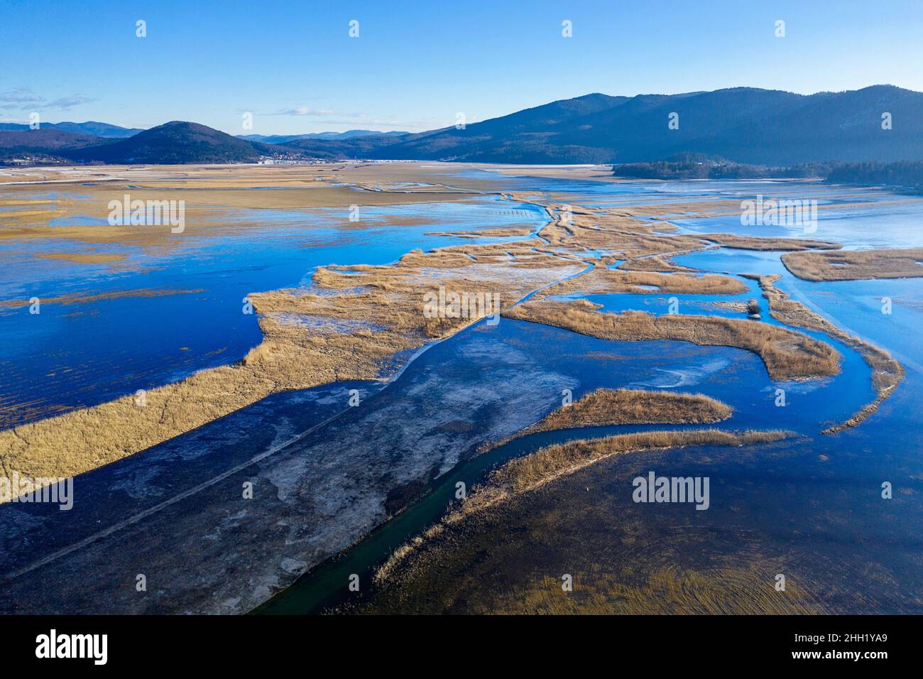 Trockenes, gelbes Schilf und Eis auf dem halbgefrorenen intermittierenden See Cerknica, Slowenien Stockfoto