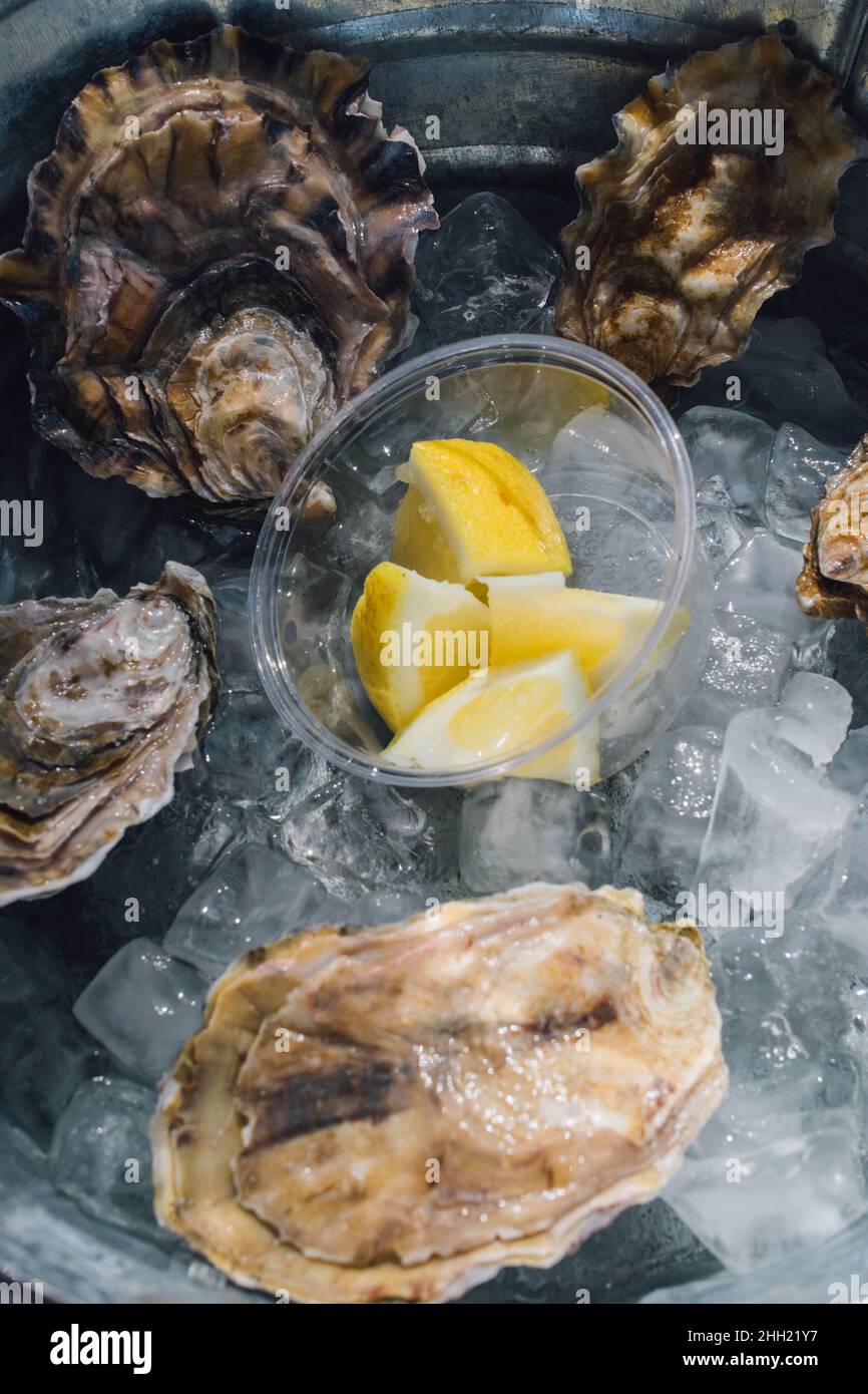 Austern auf Eis mit Zitronenkeilen im Restaurant Stockfoto