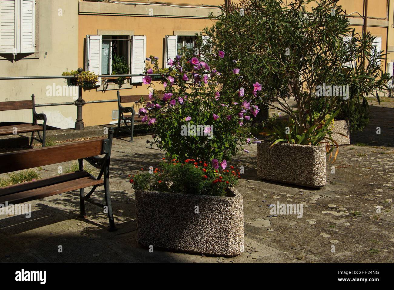 Blumentöpfe in der Altstadt von Triest, Italien, Europa Stockfoto