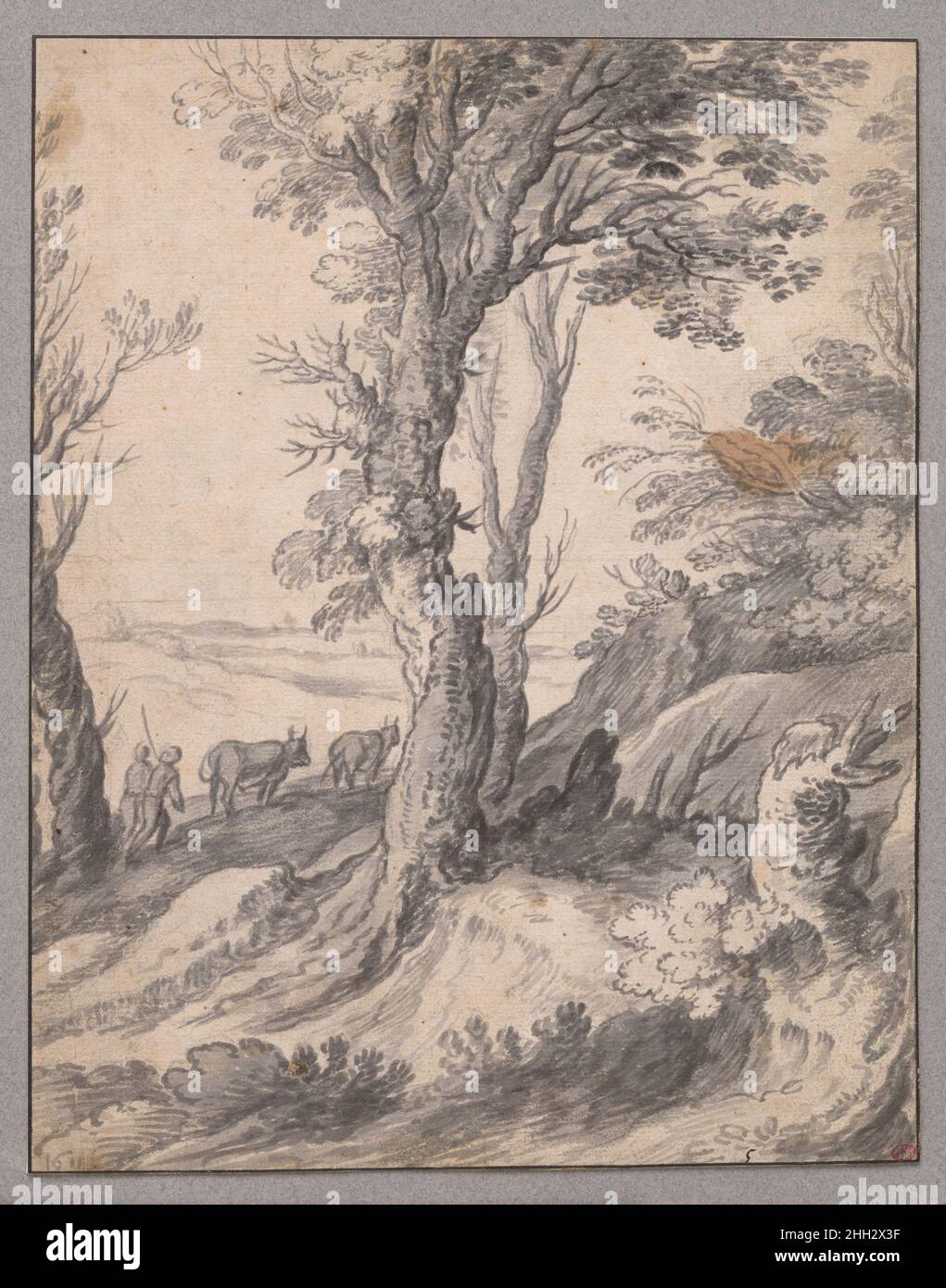 Landschaft mit großem Baum 1611 Paul Bril der niederländische Maler Paul Bril, dessen bedeutende Tätigkeit zwischen 1582 und 1626 in Rom stattfand, war eine Schlüsselfigur für die Landschaftsmalerei. Er beeinflusste zahlreiche Künstler aus dem Norden, die nach ihm nach Rom reisten. Dieses lebendige und frei gezeichnete Bild eines Baumes ist ein klassisches Bril-Thema. Es wurde in Schichten von Grau und Schwarz gekreidet, aber Brils schwarze Kreidezeichnung ist auch teilweise sichtbar, etwa entlang der Umrisse des Baumstamms. Dieser energetisch verdrehte Baum hört auf Zeichnungen einzelner Bäume Stockfoto