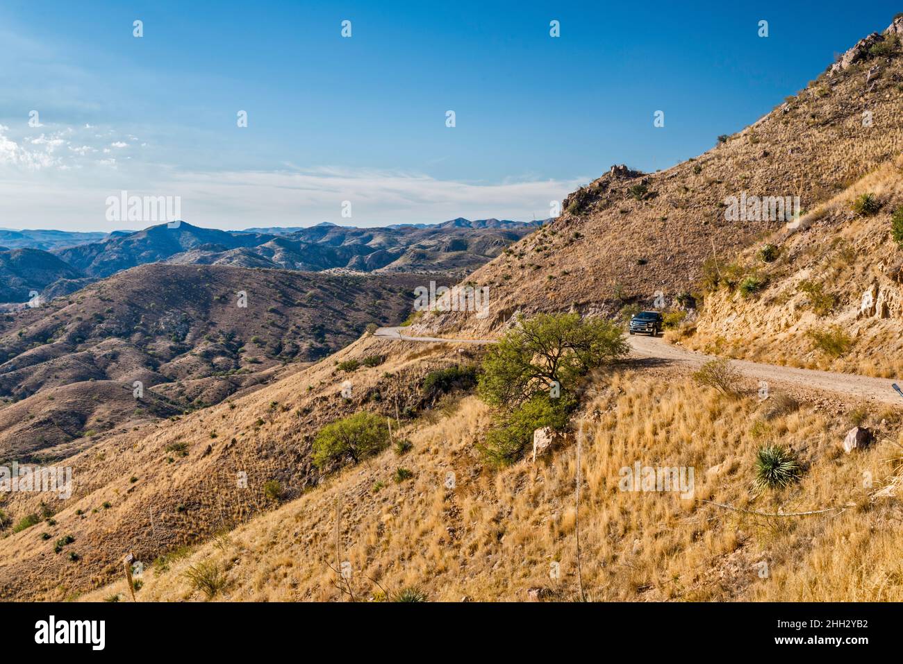 Ruby Road, in der Nähe der mexikanischen Grenze, Atascosa Mountains, Coronado National Forest, Arizona, USA Stockfoto