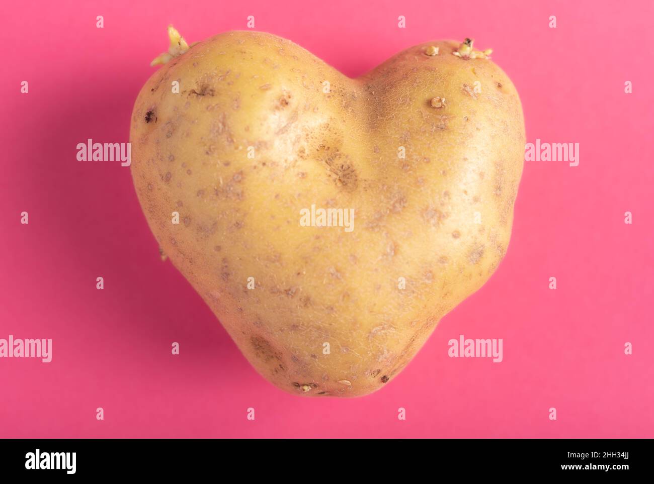 Horizontale Fotografie einer herzförmigen Kartoffel isoliert auf einem rosa Hintergrund, valentine-Konzept Stockfoto