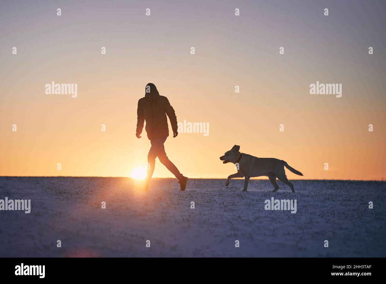 Silhouette eines Mannes mit Hund auf einer verschneiten Wiese. Haustierbesitzer läuft mit labrador Retriever während des Wintermorgens. Stockfoto
