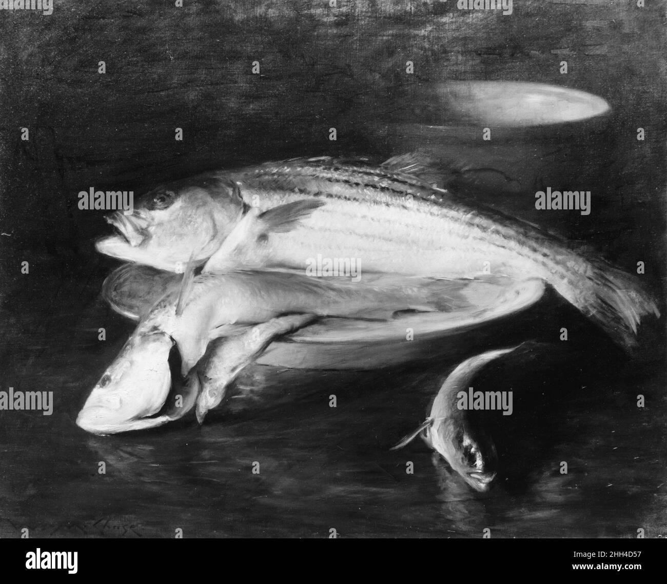 Fisch von 1910 William Merritt Chase American Dies ist eines der vielen Stillleben von Fischen, die Chase nach der sehr günstigen Rezeption seines Gemäldes mit dem Titel 'an English Cod' (National Gallery of Art, Corcoran Collection, Washington, D.C.) aus dem Jahr 1904 produziert hat. "Fish" wird mit dem Bravura-Pinselwerk ausgeführt, das seine Ausbildung in München widerspiegelt und auch an spanische Stillleben des 17. Jahrhunderts erinnert, in denen fließend bemalte Objekte vor dunklem Hintergrund präsentiert werden. Das Arrangement hier zeigt einen gestreiften Bass und einen Lachs. Ein schwacher Fisch liegt direkt auf dem Tisch und eine Schale ist in Th sichtbar Stockfoto