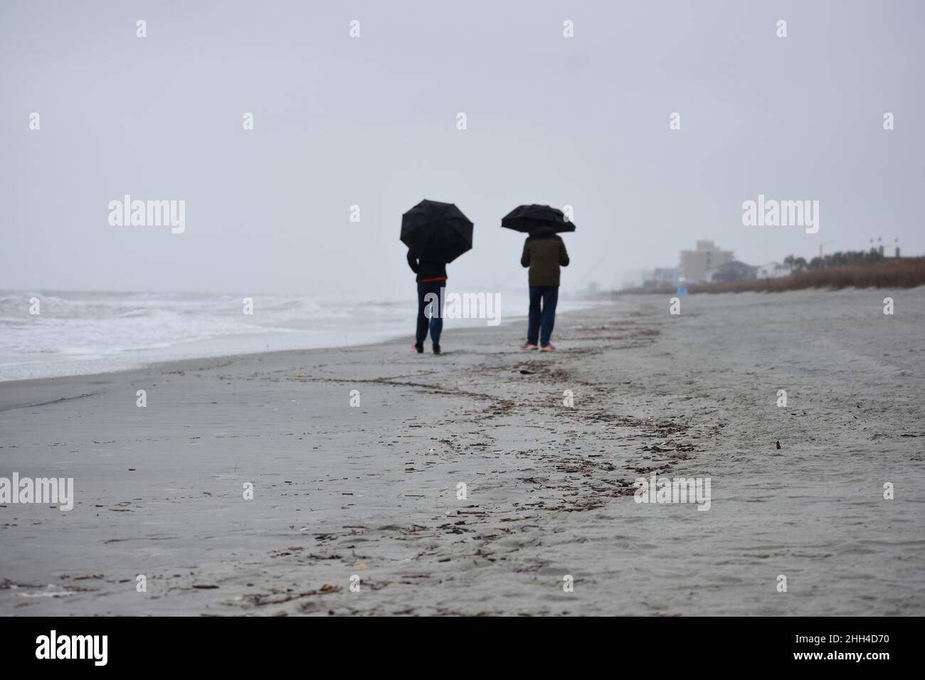 Skurrile, urige Paare, die an einem regnerischen Nachmittag an einem einsamen Strand mit Sonnenschirmen spazieren gehen Stockfoto