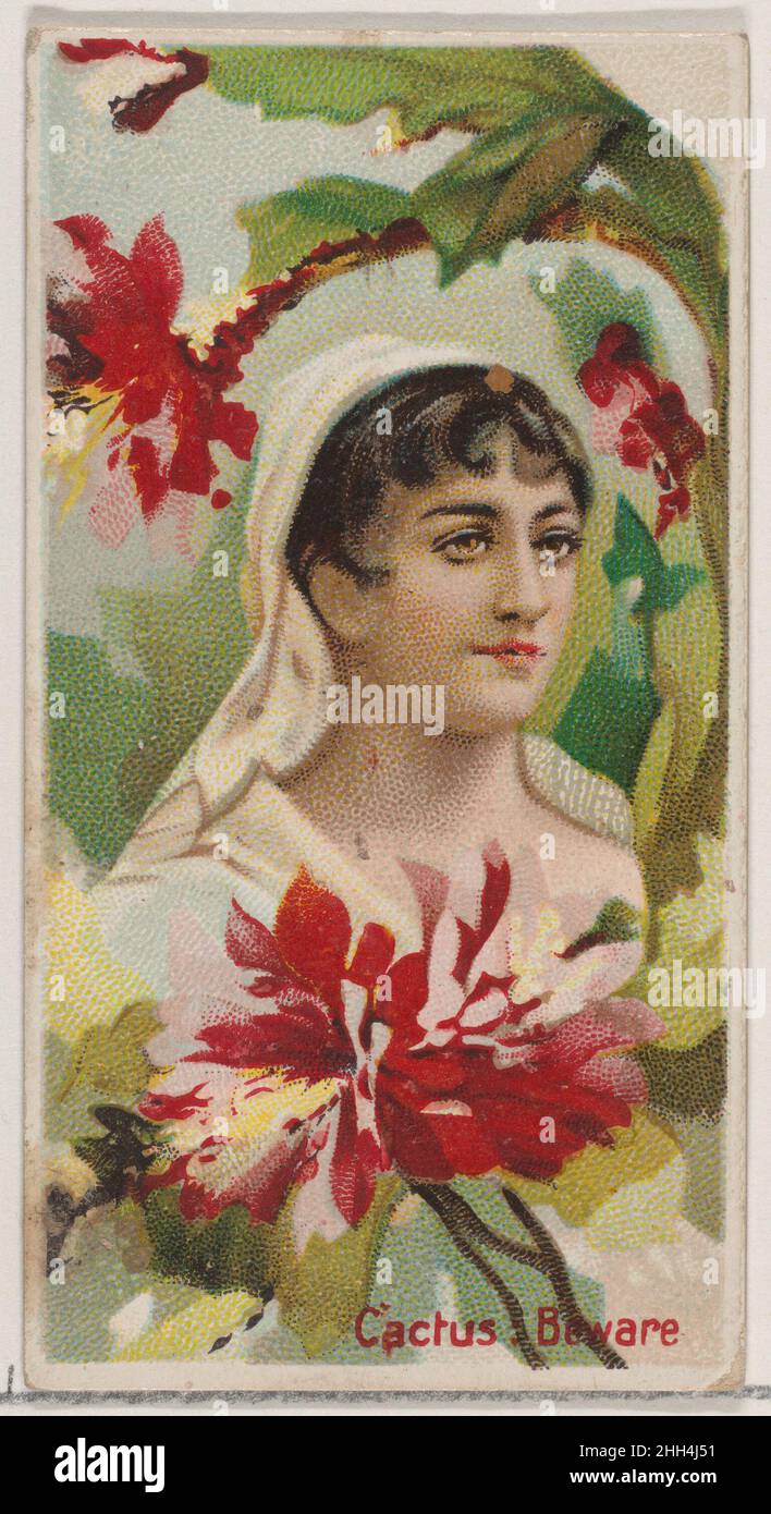 Cactus: Vorsicht, aus der Serie Floral Beauties and Language of Flowers (N75) for Duke Brand Cigarettes 1892, herausgegeben von der Zigarettenabteilung der American Tobacco Company, Handelskarten aus der Serie „Floral Beauties and Language of Flowers“ (N75), Im Jahr 1892 in einem Satz von 50 Karten ausgegeben, um die W. Duke Sons & Co.-Niederlassung der American Tobacco Company zu fördern. Cactus: Vorsicht, aus der Serie Floral Beauties and Language of Flowers (N75) für Zigaretten der Marke Duke. 1892. Kommerzielle Farblithographie. Herausgegeben von der Duke Zigarettenabteilung der American Tobacco Company Stockfoto
