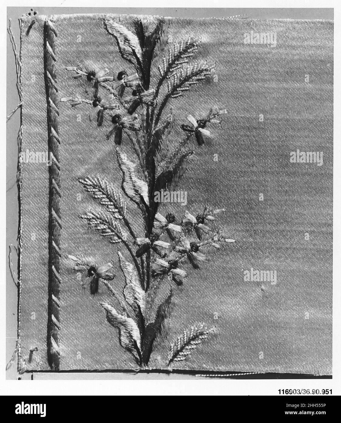 Französische Küche aus dem frühen 19th. Jahrhundert. Probe 224052 Stockfoto