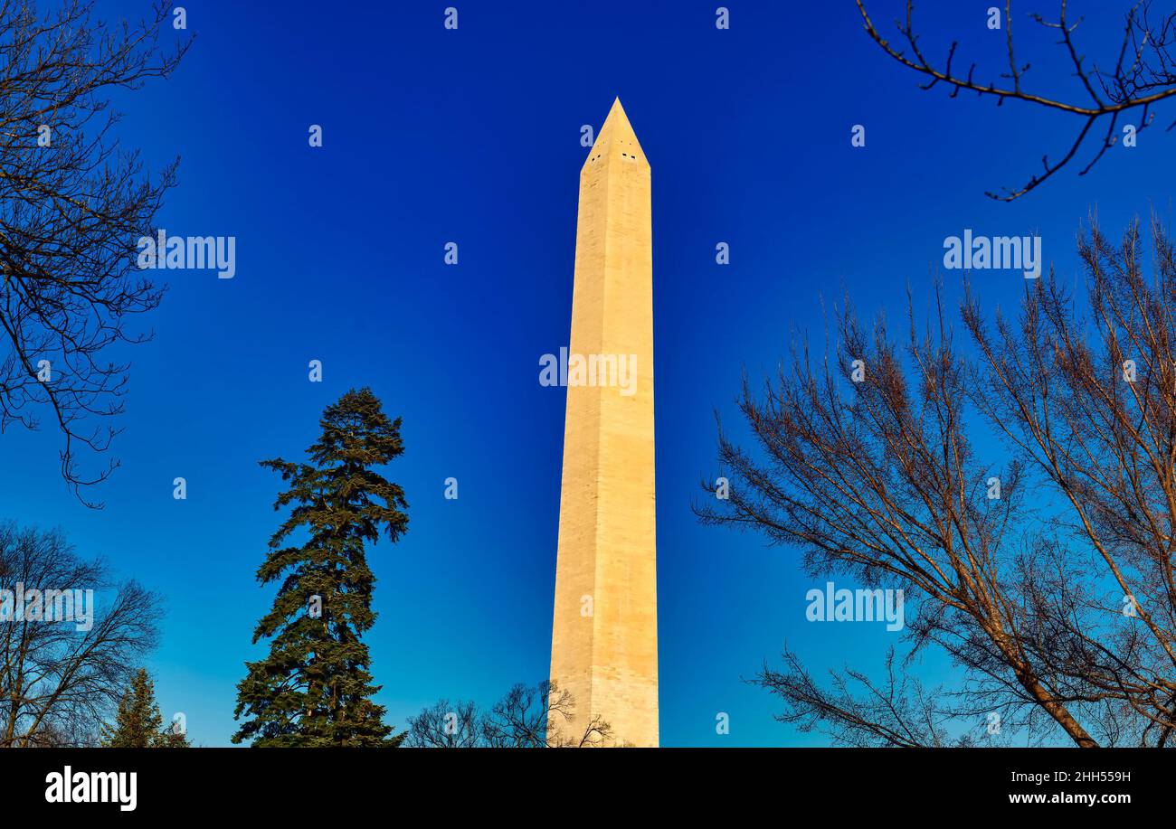 Das Washington Monument in Washington DC an einem hellen Wintertag. Stockfoto