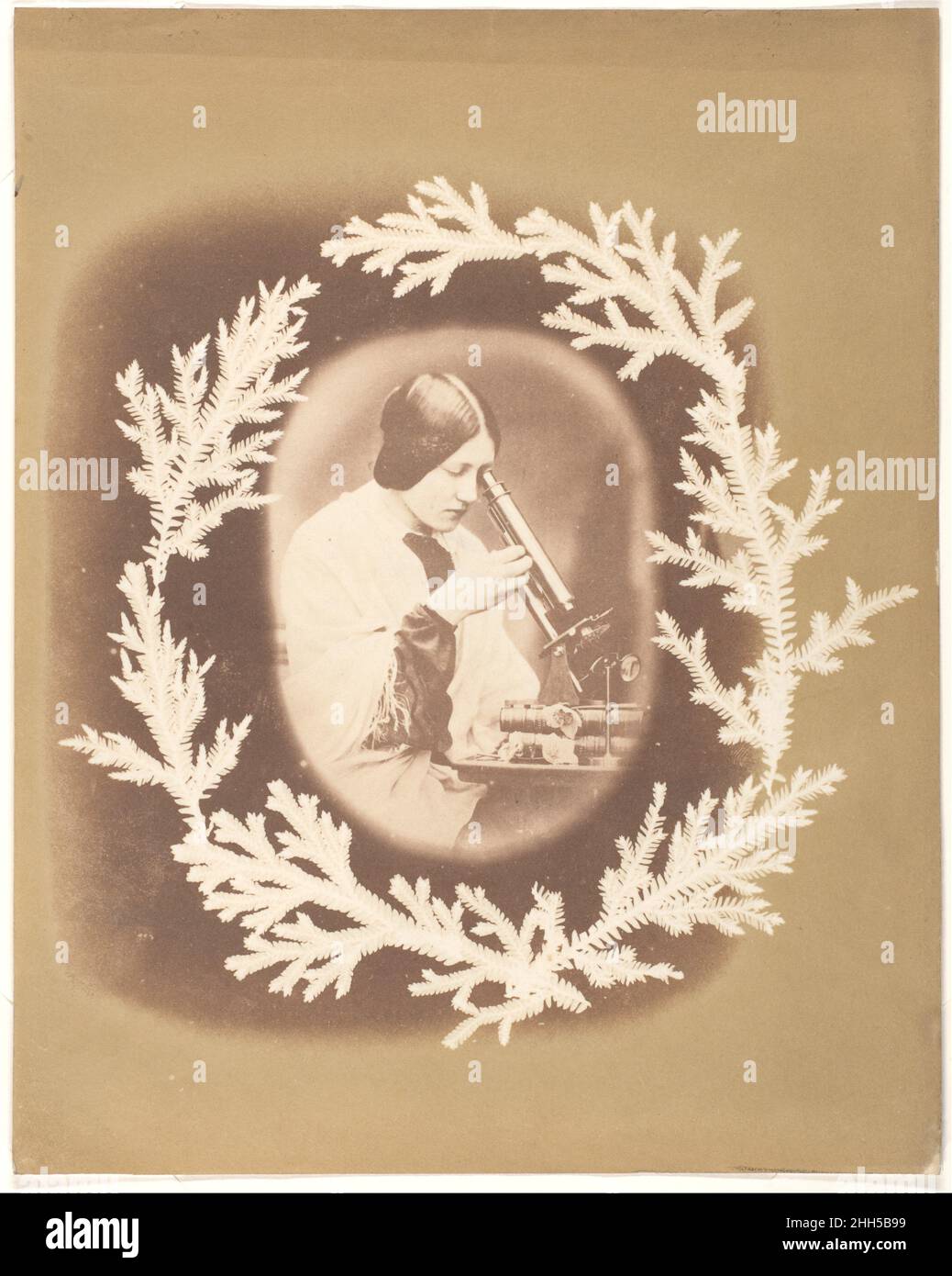 [Thereza Dillwyn Llewelyn mit ihrem Mikroskop] ca. 1854 John Dillwyn Llewelyn Britisch, Walisisch die Grenze von Llewelyns Bild ist ein Fotogramm von Farnen, eine clevere Variation der dekorativen Ränder aus Spitze, geschnittenem Papier oder Tinte und Aquarell, die viele Alben des 19. Jahrhunderts schmückten. In der zentralen Vignette sehen wir die Tochter Thereza (1834-1926) der Fotografin mit ihren Büchern, botanischen Exemplaren und wissenschaftlichen Apparaten. [Etikett für Gilman IV]. [Thereza Dillwyn Llewelyn mit ihrem Mikroskop]. John Dillwyn Llewelyn (British, Swansea, Wales 1810–1882 Swansea, Wales). Ca. 1854. Gesalzenes Papier prin Stockfoto