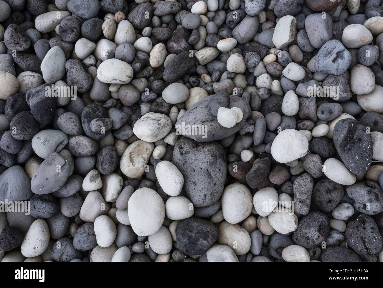 Graue und weiße Kieselsteine am Strand Stockfoto