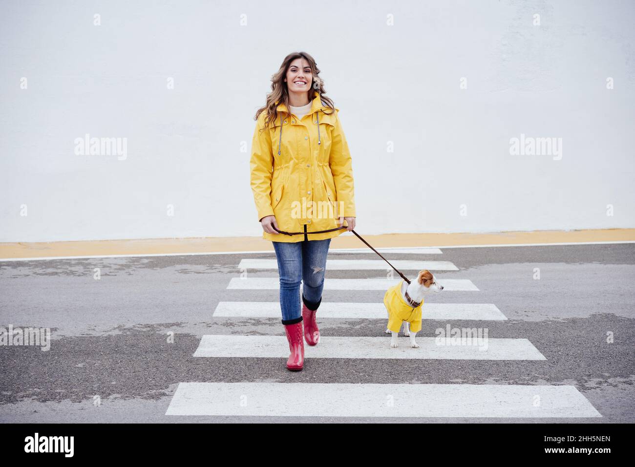 Lächelnde Frau, die mit dem Hund Jack Russell Terrier die Straße überquert Stockfoto