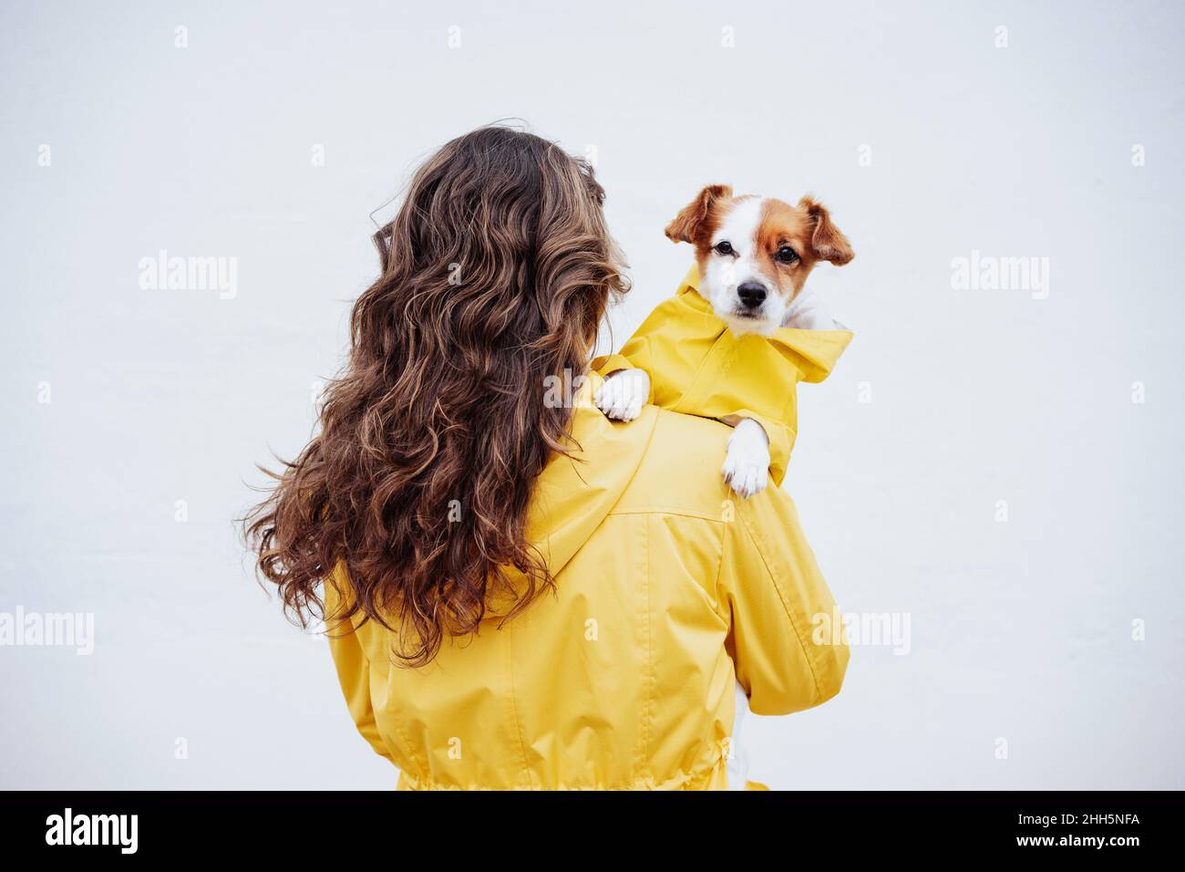 Frau mit langen braunen Haaren, die Hund vor einer weißen Wand trägt Stockfoto