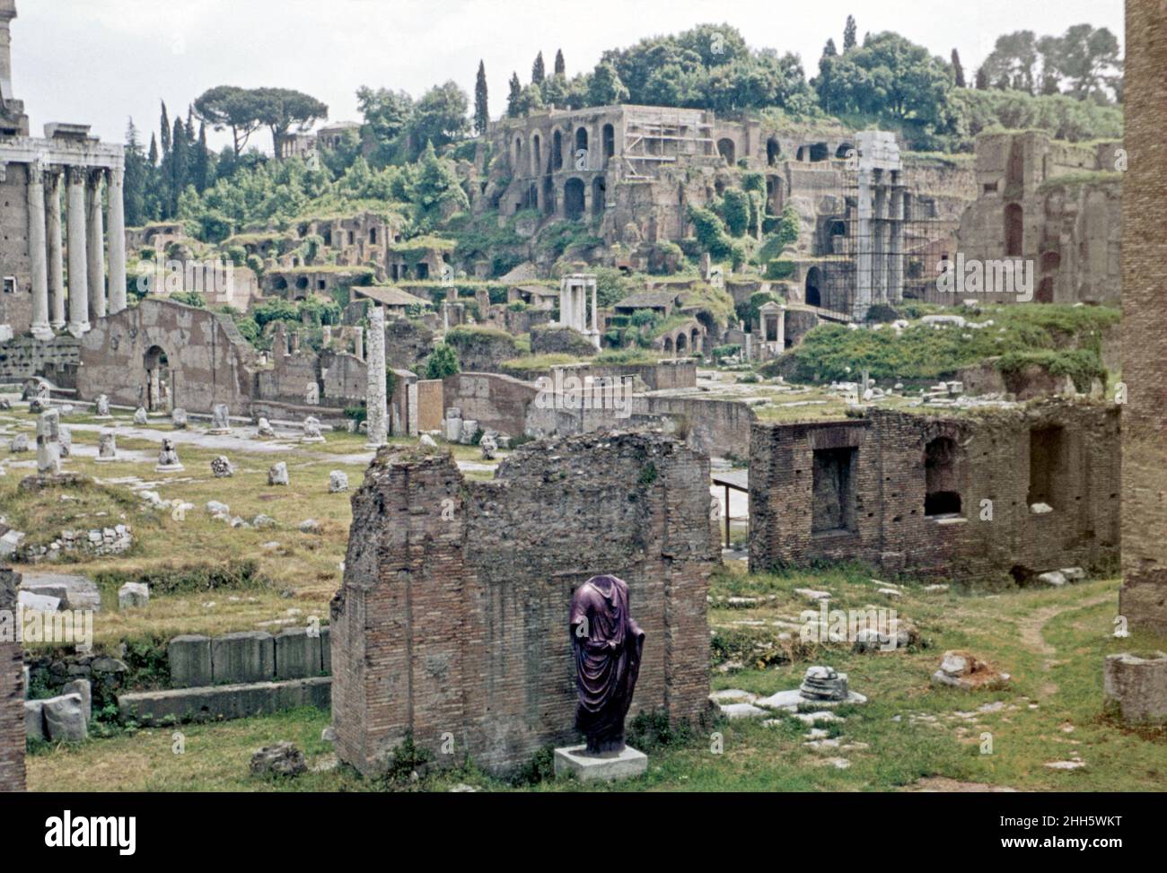 Das Forum Romanum in Rom, Italien um 1960. Diese Ansicht wird von der Curia Julia (Senatshaus) Blick SE genommen. Der Tempel des Divus Julius (Tempio del Divo Giulio) ist links. Heute hat das Forum Schilder, Karten Zäune und glatte Gehwege – da hier war es schwieriger zu gehen und weniger verwaltet und gepflegt. Die Statue im Vordergrund, eine porphyrische Statue, ein Togatus (Mann in einer Toga), befindet sich jetzt im Gebäude der Curia Julia. Das Forum war das Zentrum des täglichen Lebens im alten Rom. Dieses Bild stammt von einem alten Amateur 35mm Farbtransparenz – ein Vintage 1950/60s Foto. Stockfoto