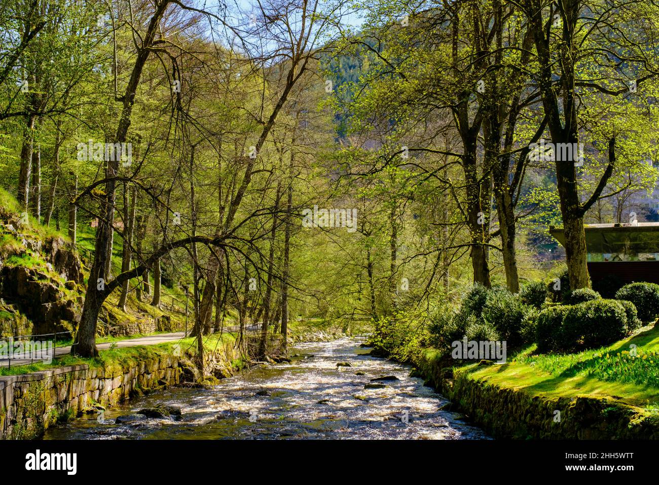 Deutschland, Baden-Württemberg, Bad Wildbad, Enz fließt im Sommer durch den Kurpark Stockfoto