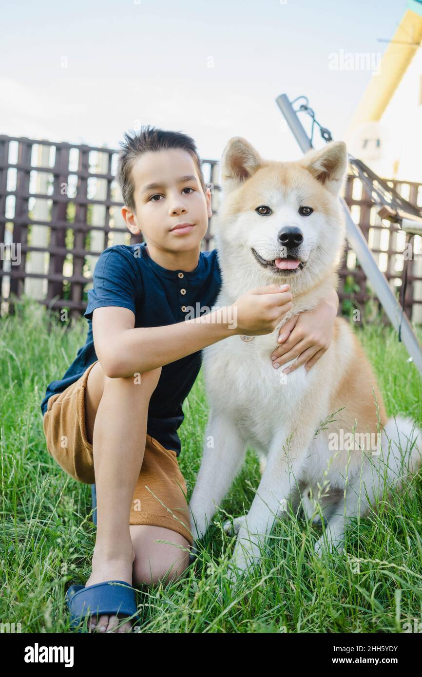Netter Junge mit Akita Hund auf Gras sitzend Stockfoto