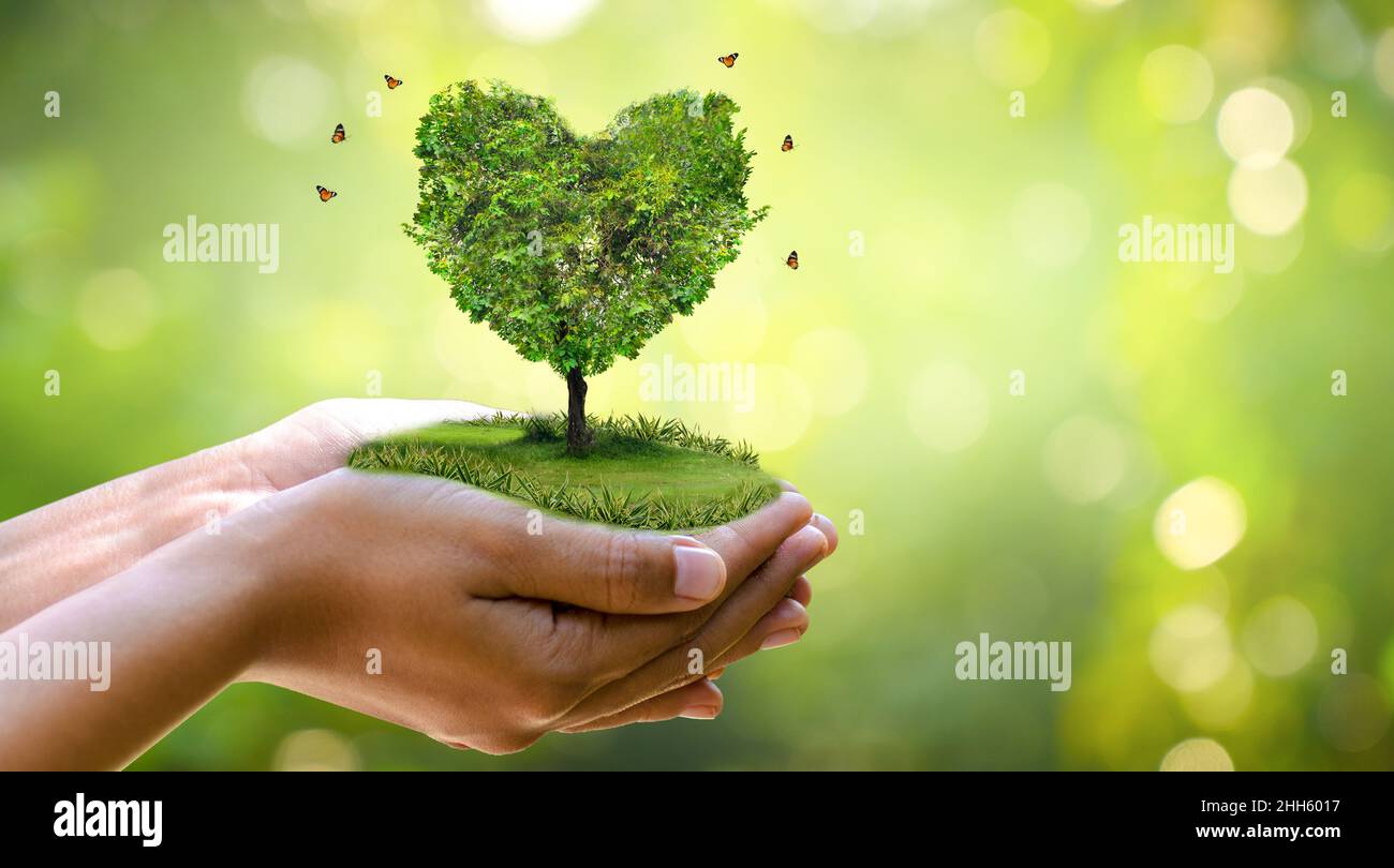Hand hält einen Herzbaum Umwelt Erde Tag Stockfoto