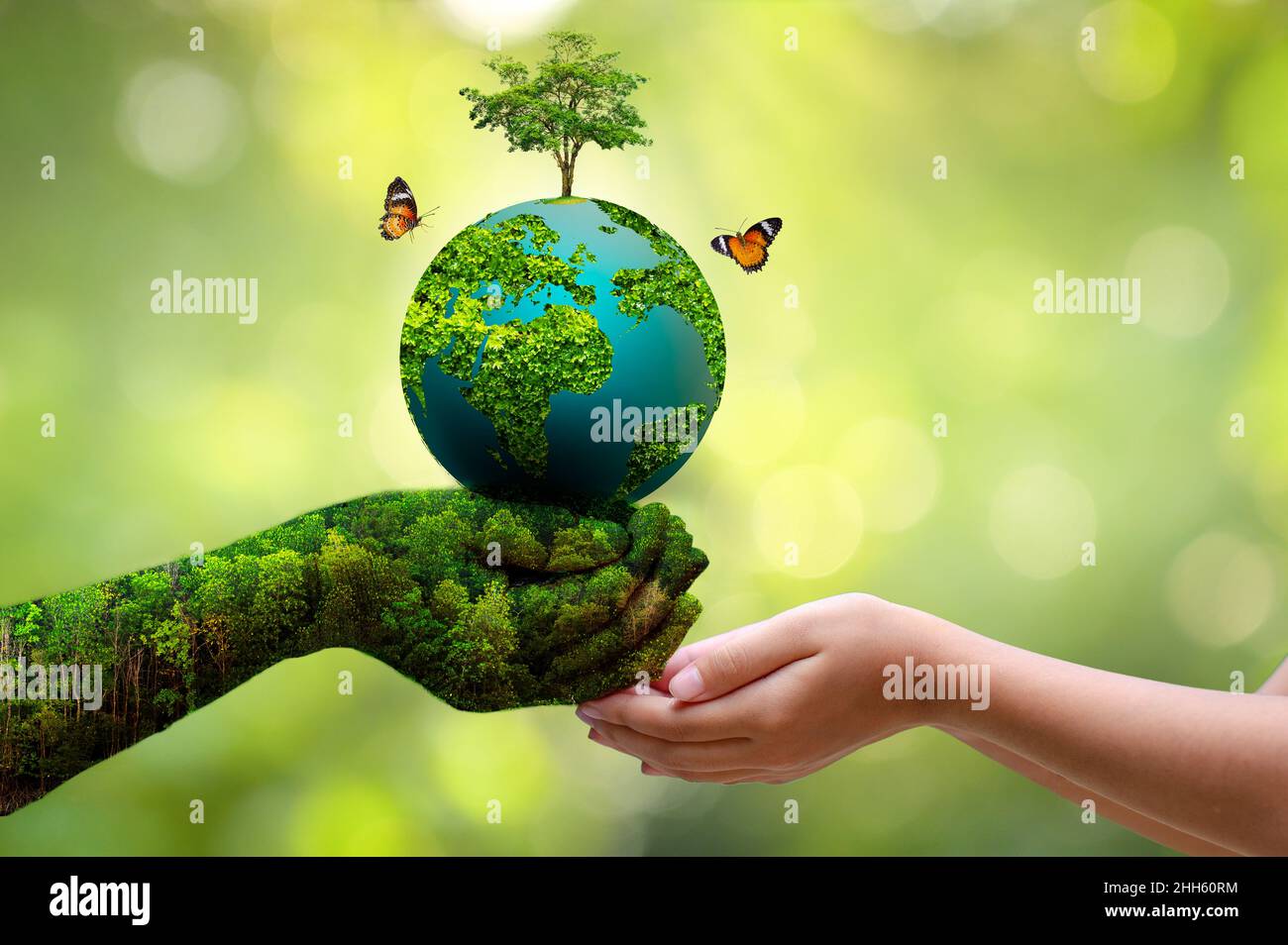 Konzept der Welt Speichern speichern Umwelt Die Welt in das Gras auf dem Grün bokeh Hintergrund ist Stockfoto