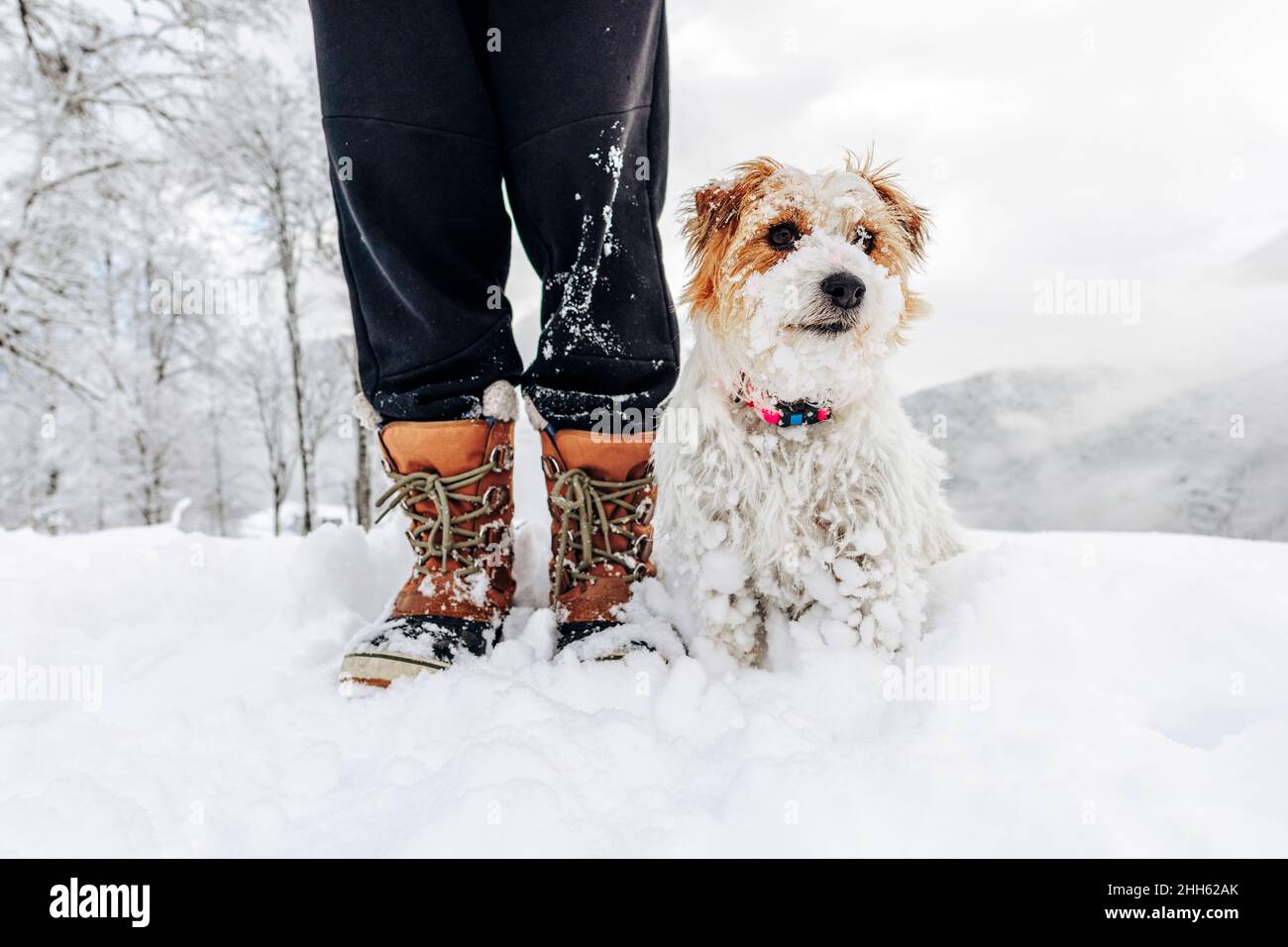 Schneebedeckter Hund, der von einem Mann im Urlaub sitzt Stockfoto