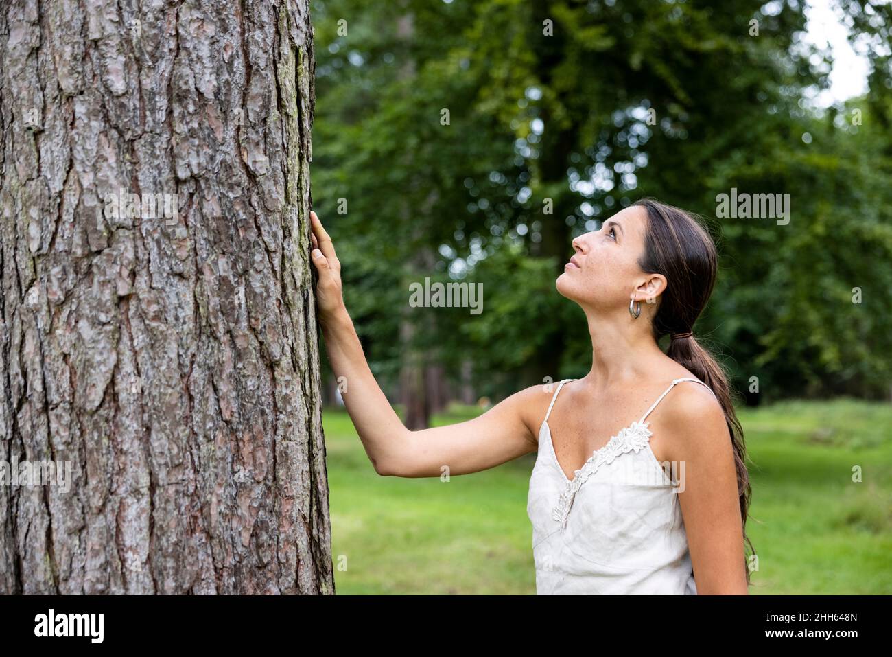 Frau, die den Baumstamm berührt und im Wald nach Cannock Chase blickt Stockfoto
