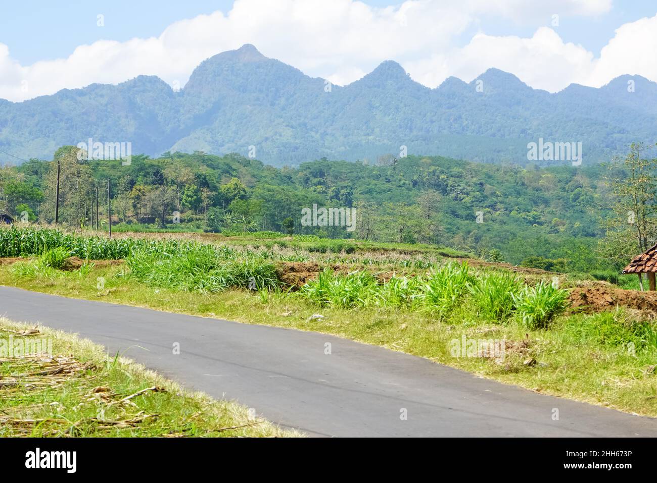 L-förmiger Sechskantschlüsselsatz isoliert auf weißem Hintergrund. Dieser Schlüssel wird in der Regel verwendet, um Schrauben an Fahrrädern zu öffnen oder zu entfernen. Stockfoto