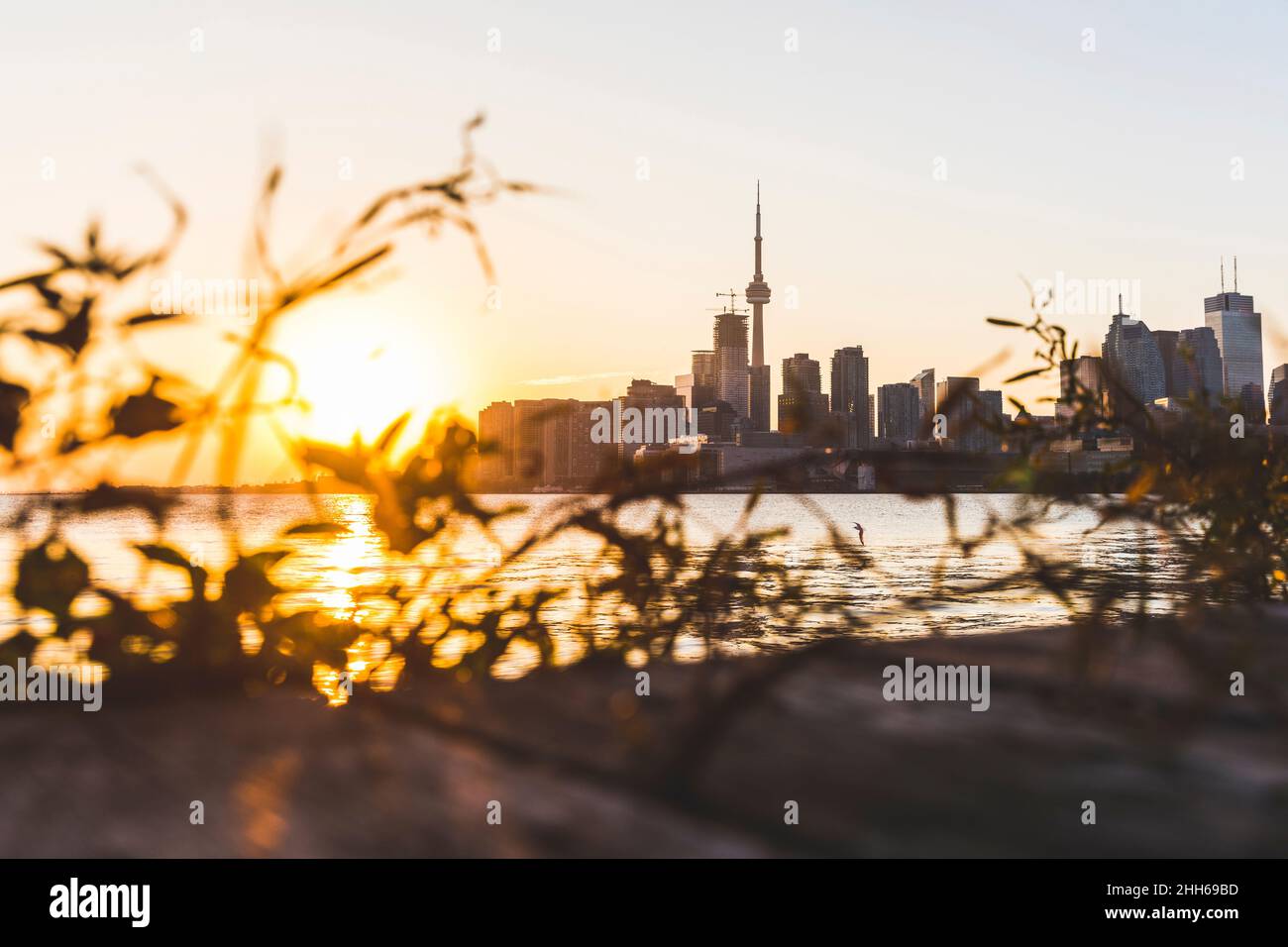 Kanada, Ontario, Toronto, Skyline der Seeufer-Stadt bei Sonnenuntergang Stockfoto