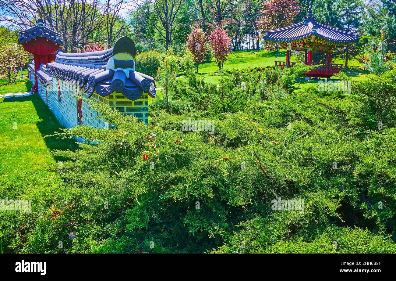 Die üppig grünen Wacholdersträucher vor der Ziegelmauer und die hölzerne koreanische Pagode des traditionellen koreanischen Gartens befinden sich im Kyiv Botanischen Garten, Ukra Stockfoto Die üppig grünen Wacholdersträucher vor der Ziegelmauer und die hölzerne koreanische Pagode des traditionellen koreanischen Gartens befinden sich im Kyiv Botanischen Garten, Ukra Stockfoto