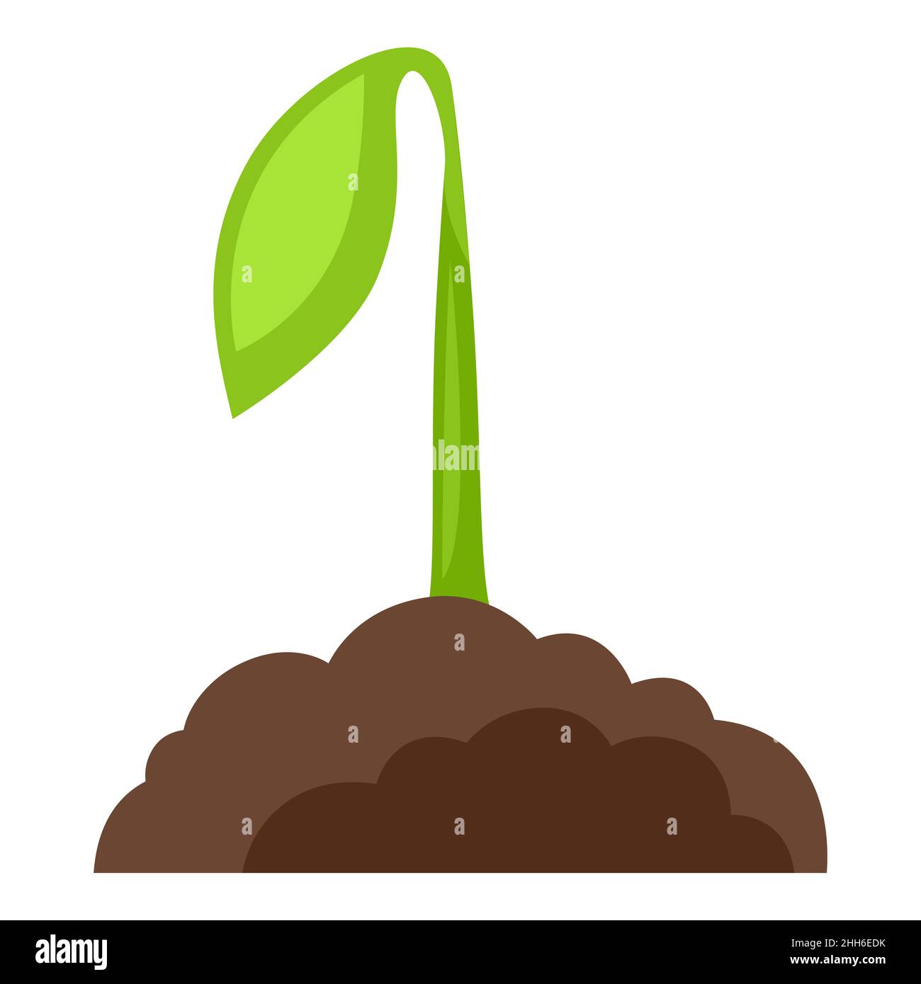 Illustration der im Boden wachsenden Sprosspflanze. Im Garten oder in der Landwirtschaft. Stock Vektor