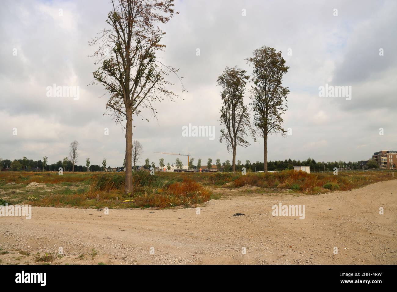 Sand und Treibsand auf Feldern, auf denen ein neues Wohnviertel entstehen wird. Stockfoto