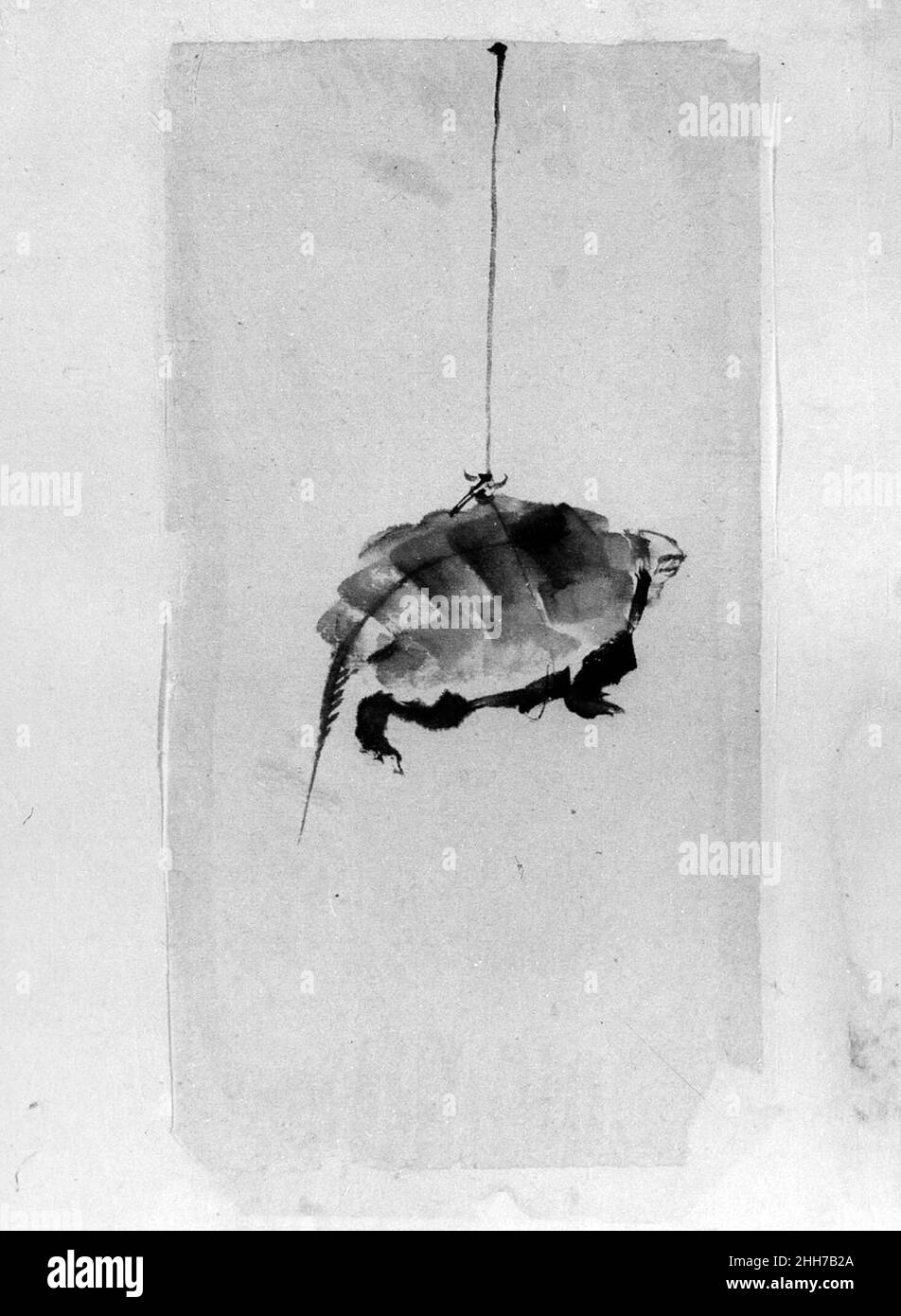 Schildkröte suspendiert von String 18th–19th Century School of Katsushika Hokusai Japanese. Schildkröte Suspendiert Von String 57274 Stockfoto