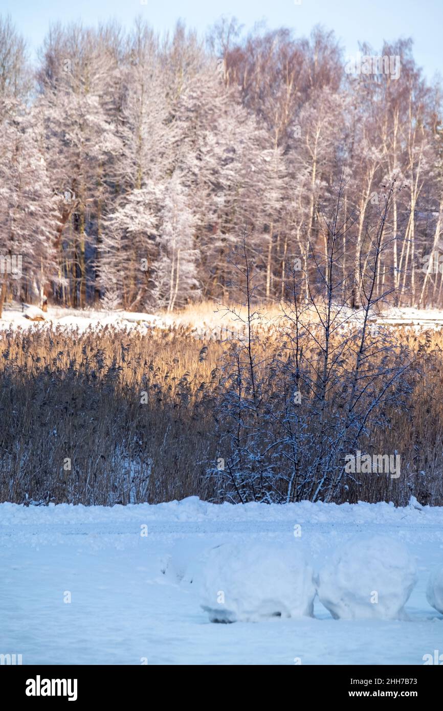 Helsinki / Finnland - JANUARU 17, 2022: Finnische Winterlandschaft - dicke Schneedecke auf einer Strandpromenade mit blattlosen Bäumen im Hintergrund. Stockfoto