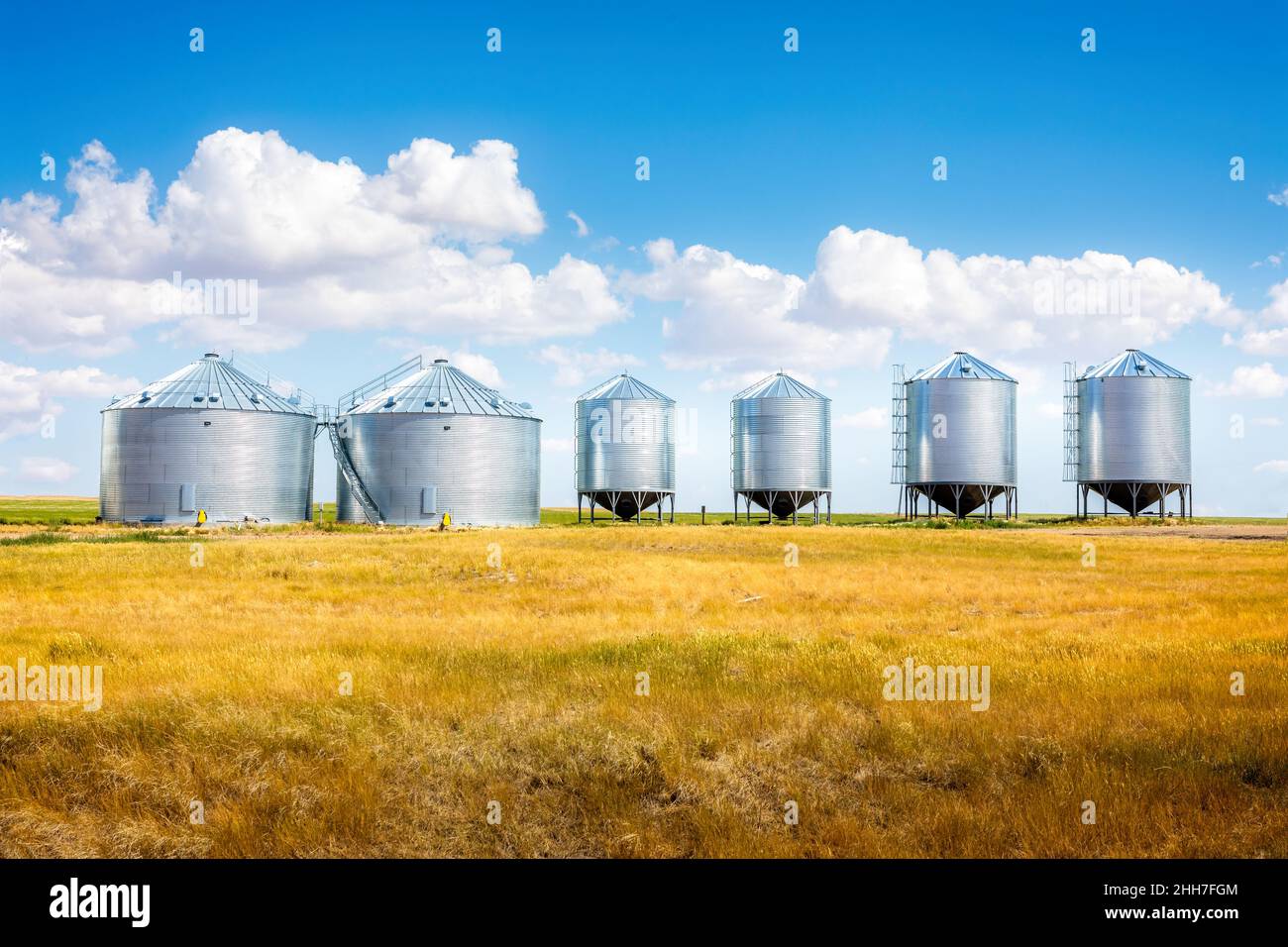 Getreideaufzüge zwischen Maisfeldern in Montana Stockfoto
