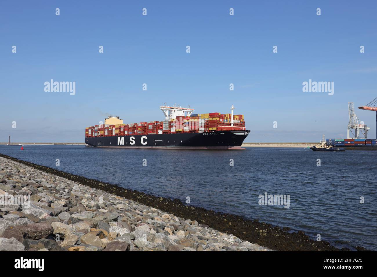 Das Containerschiff MSC Apolline verlässt den Hafen Rotterdam am 24. August 2021. Stockfoto