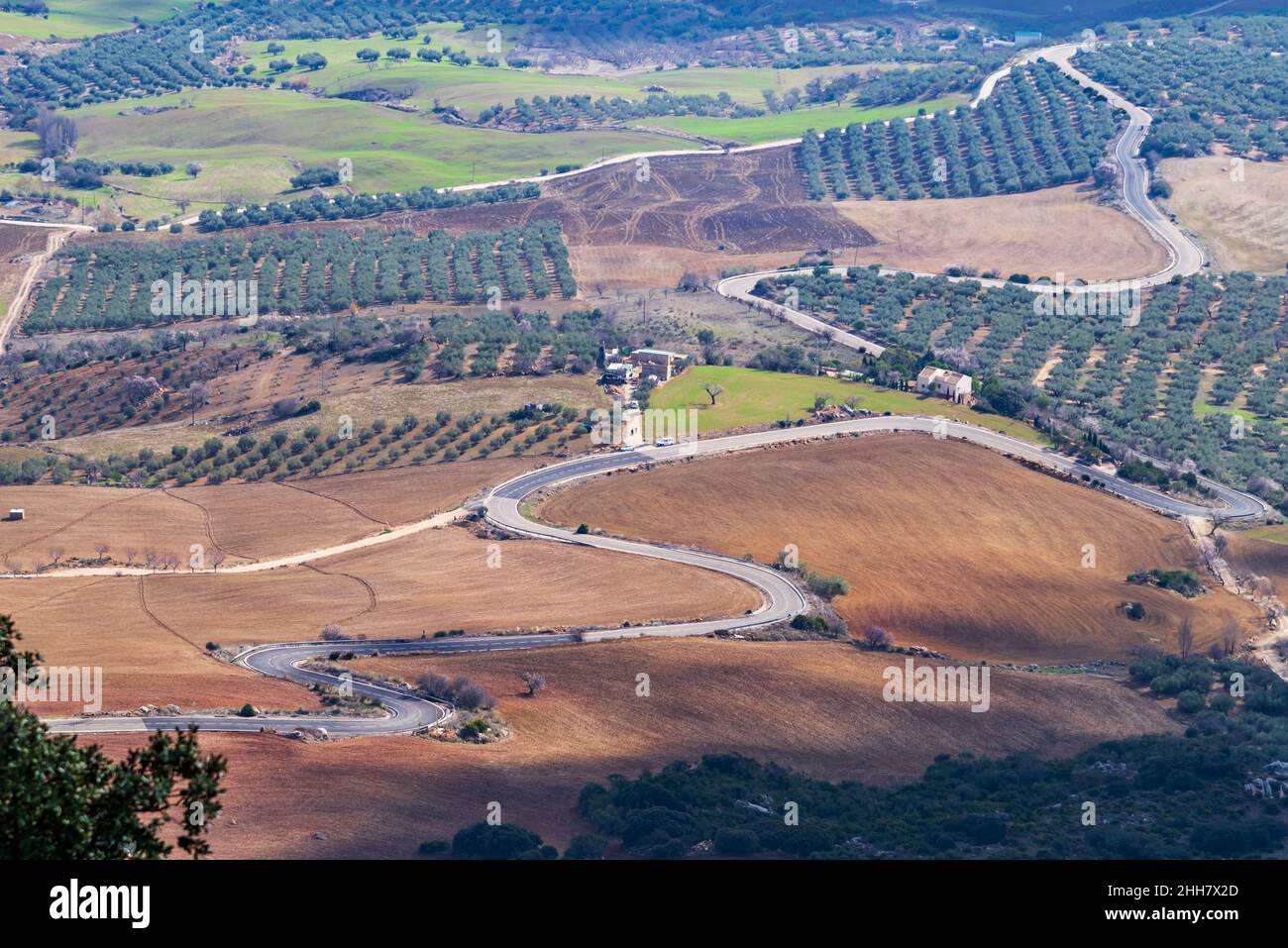 Kurvenreiche Straße zwischen landwirtschaftlichen Feldern in Villanueva de la Concepcion, Malaga. Stockfoto