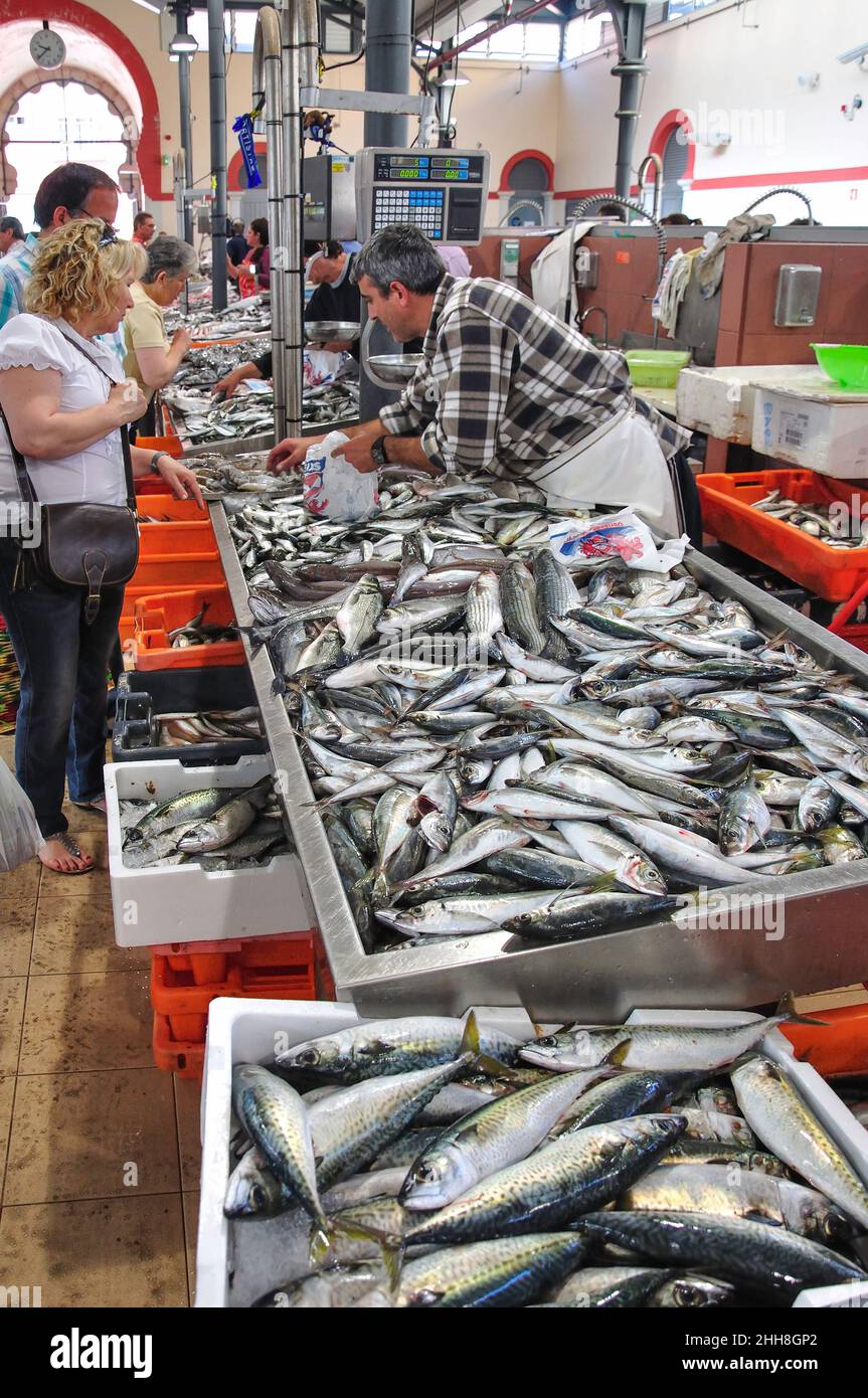 Fisch-Stall im indoor Fischmarkt, Loulé, Region Loulé, Algarve, Portugal Stockfoto