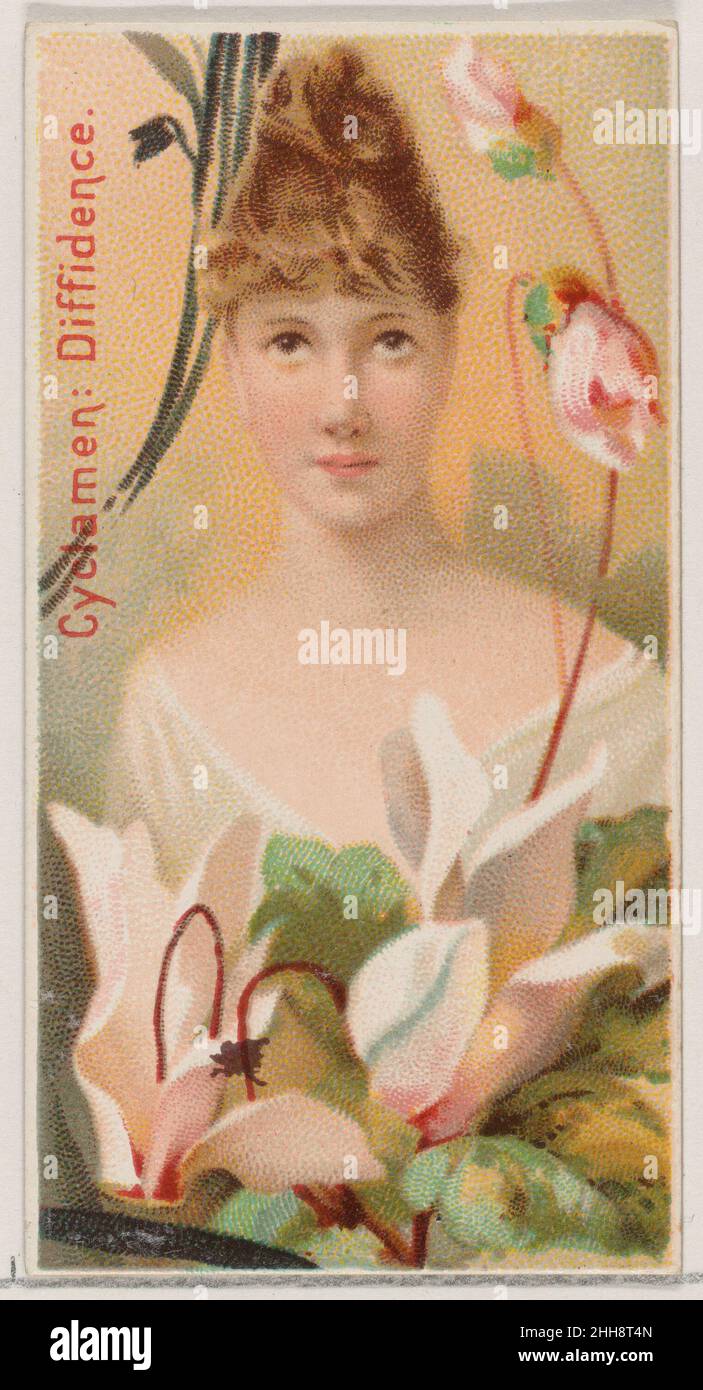 Cyclamen: Diffidence, aus der Serie Floral Beauties and Language of Flowers (N75) für Zigaretten der Marke Duke 1892, herausgegeben von der Zigarettenabteilung der American Tobacco Company, Handelskarten aus der Serie „Floral Beauties and Language of Flowers“ (N75), Im Jahr 1892 in einem Satz von 50 Karten ausgegeben, um die W. Duke Sons & Co.-Niederlassung der American Tobacco Company zu fördern. Cyclamen: Diffidence, aus der Serie Floral Beauties and Language of Flowers (N75) für Zigaretten der Marke Duke. 1892. Kommerzielle Farblithographie. Herausgegeben von der Duke Zigarettenabteilung der American Tobacco Company Stockfoto