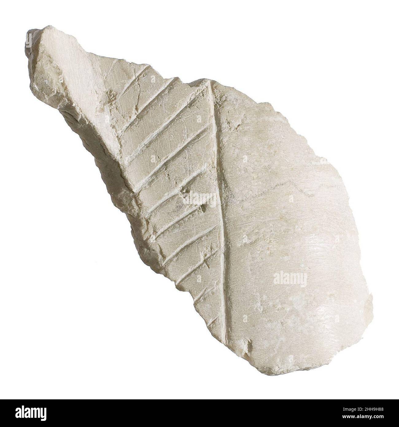 Gliedmaßen mit Bekleidungsfransen, Faltenfalze ca. 1353–1336 v. Chr. Neues Königreich, Amarna-Zeit. Gliedmaßen mit Kleiderrand, Faltenfalze 549803 Stockfoto