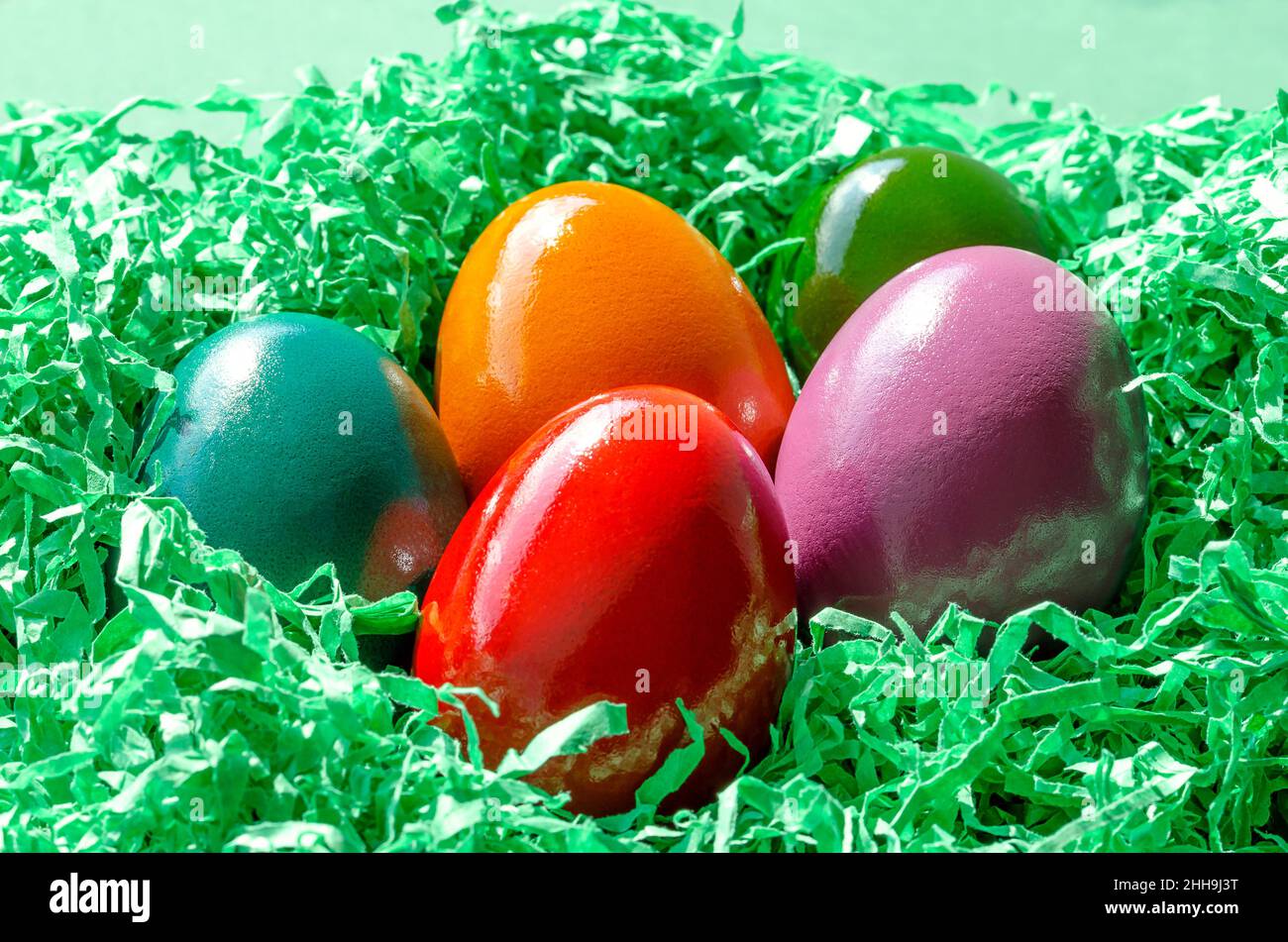 Mehrfarbige Ostereier im grünen Papiernest. Bunt gefärbte Paschaleier in einem Nest angeordnet, aus grünem geschreddertem Papier. Gruppe hart gekochter Eier. Stockfoto