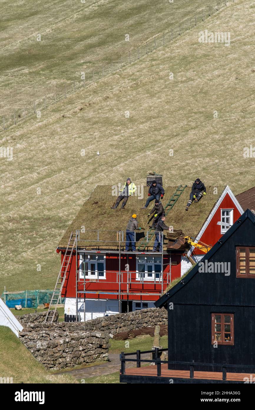 Die Dachdecker, die sich auf dem Dach eines Hauses auf den Färöern ausruhen. Stockfoto