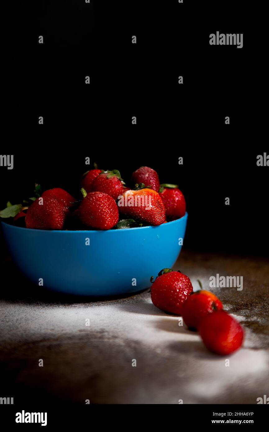 Eine blaue Schale mit frischen Erdbeeren mit einer Prise feinen Puderzuckers und dunkler und stimmungsvoller Beleuchtung Stockfoto