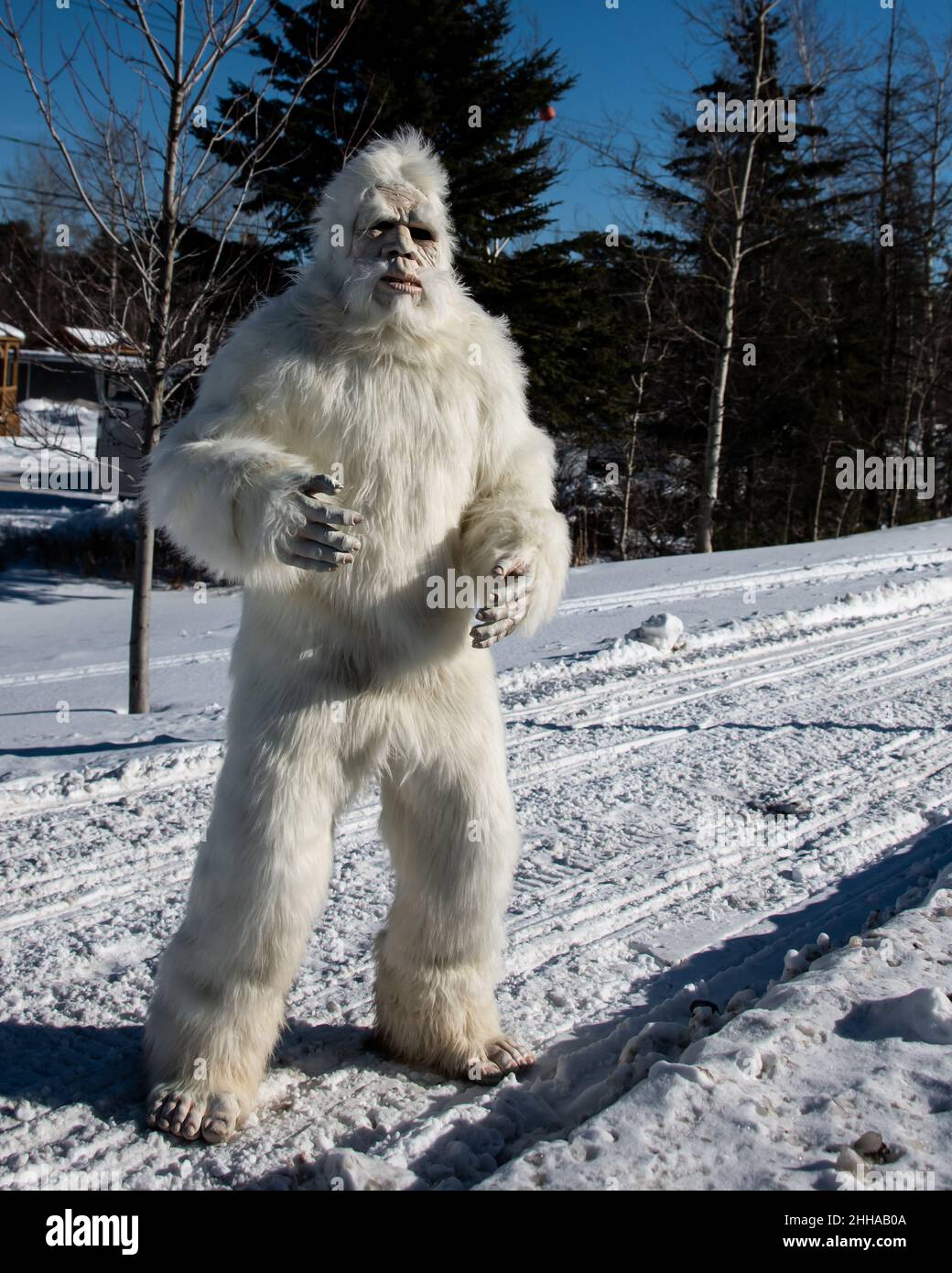Eine Person, die in einem Yeti- oder abscheulichen Snowman-Anzug gekleidet ist, steht im Schnee auf einer Schneemobilstrecke in Speculator, NY, in den Adirondack Mountains Stockfoto