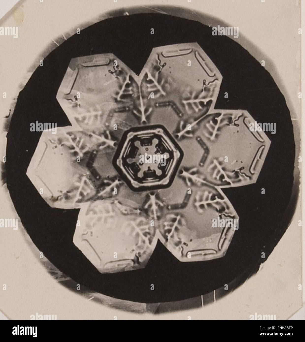 Snowflake - von Wilson Bentley ca. 1905 - MOPA. Stockfoto