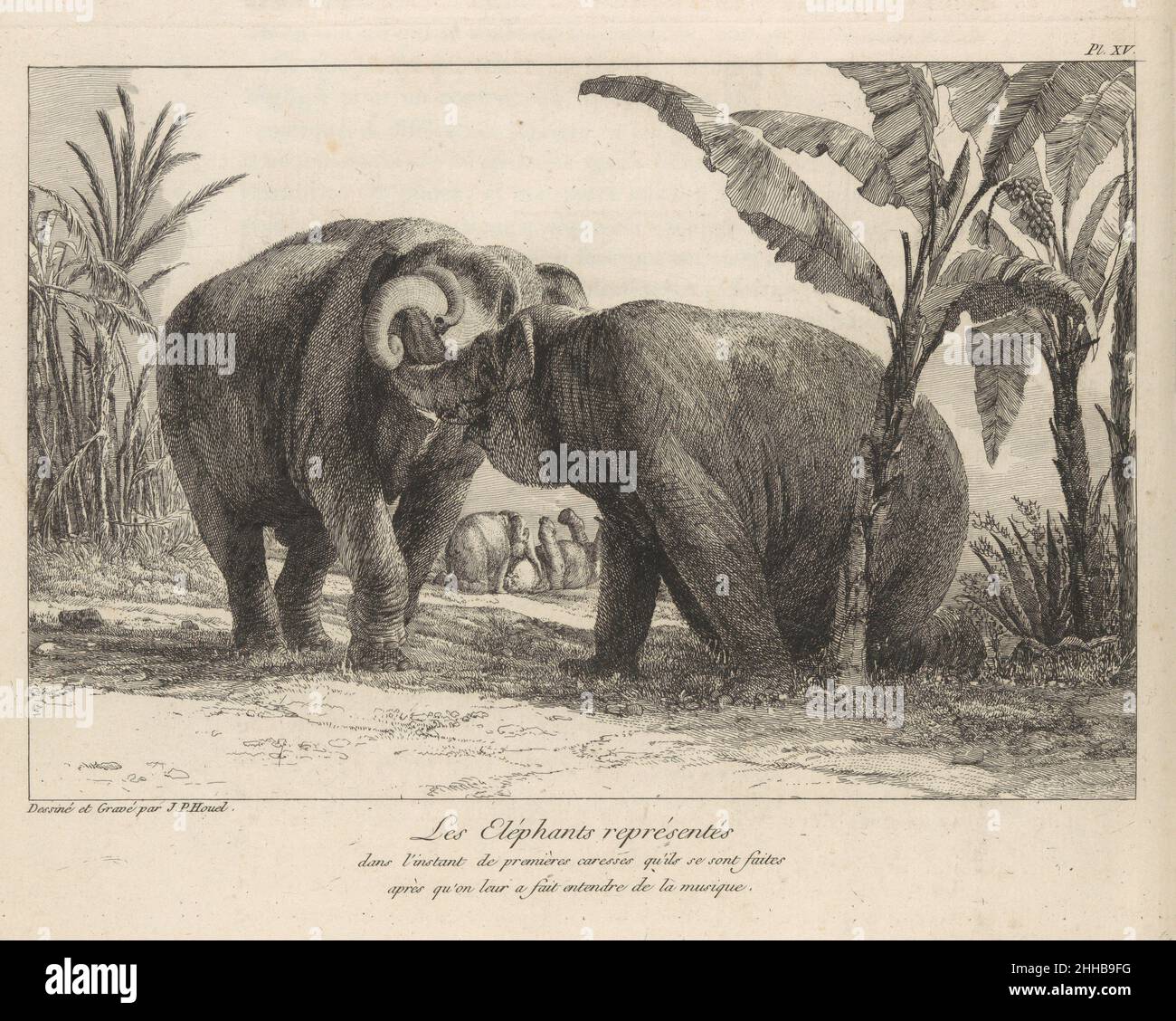 Histoire Naturelle des Deux Éléphans...du Muséum De Paris 1803 Geschrieben von Jean Pierre Louis Laurent Hoüel Französisch. Histoire Naturelle des Deux Éléphans...du Muséum De Paris 351833 Stockfoto