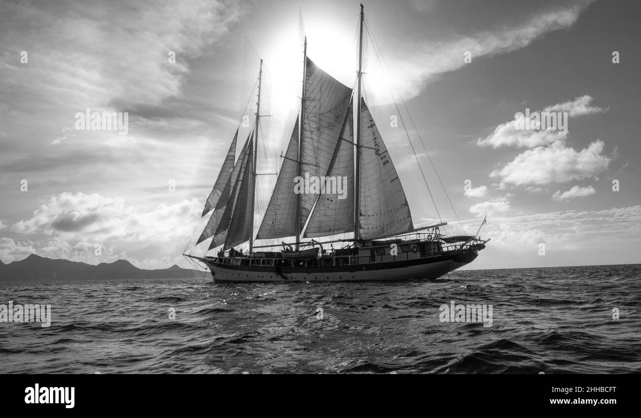 Ein großer Schoner mit 3 Masten, der in der Karibik bei Mayreau segelt Stockfoto