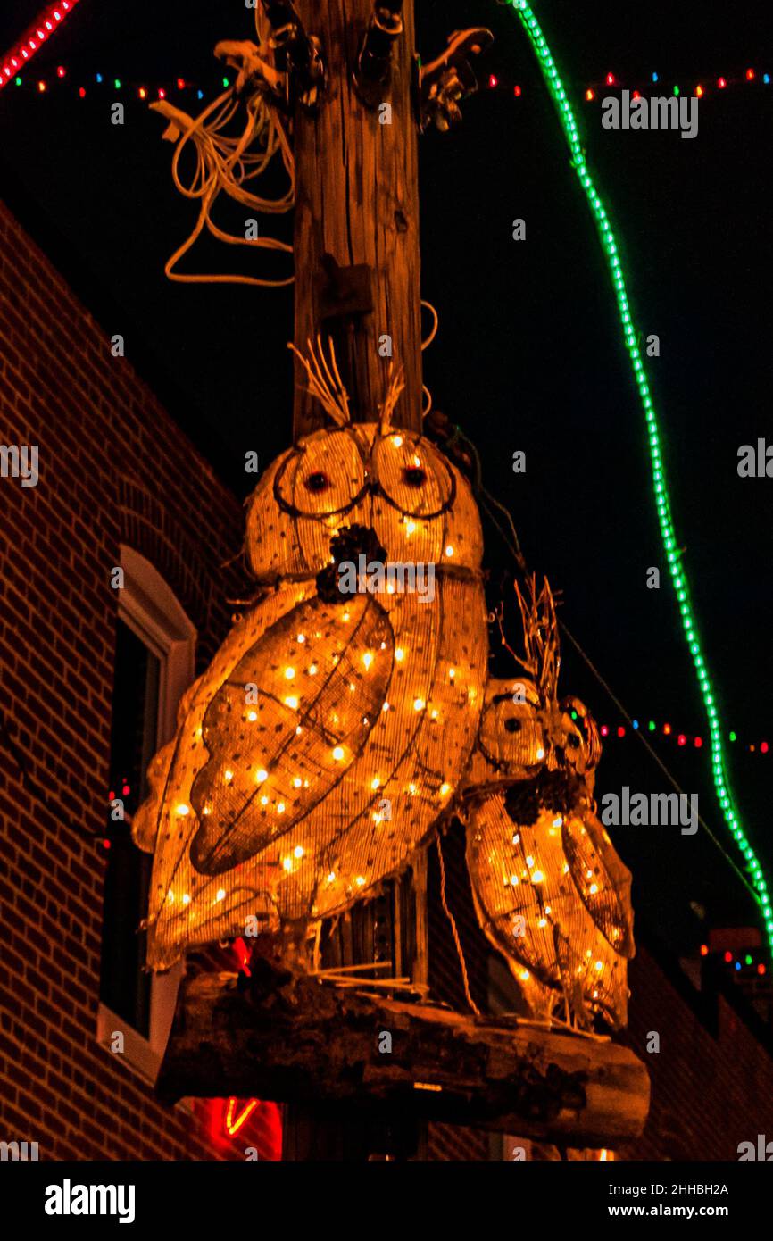 Foto von Illuminated Owls, Hampden, Baltimore, Maryland USA Stockfoto