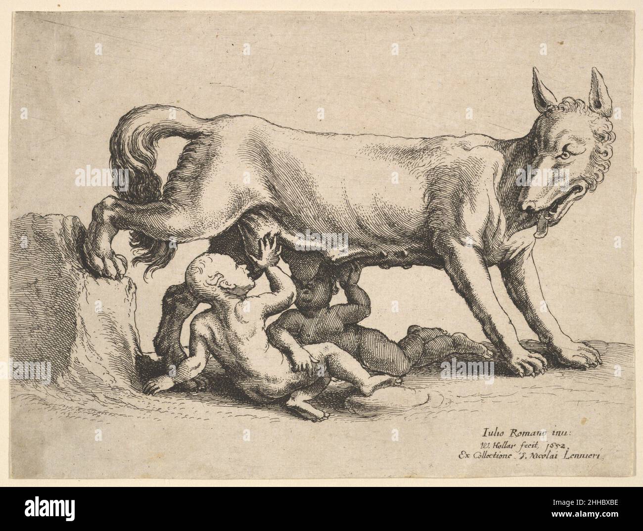 Romulus und Remus 1652 Wenceslaus Hollar Bohemian Romulus und Remus säugen Milch von einem Wolf, der mit seinem rechten Hinterbein auf einem Felsen nach rechts steht. Aus einer Serie von sechs Tellern, geätzt von Hollar nach Zeichnungen von Giulio Romano aus der Sammlung von Nicolas Lanier, Entwürfe für Stuckmedaillons im Palazzo Te in Mantua. Romulus und Remus 360730 Stockfoto