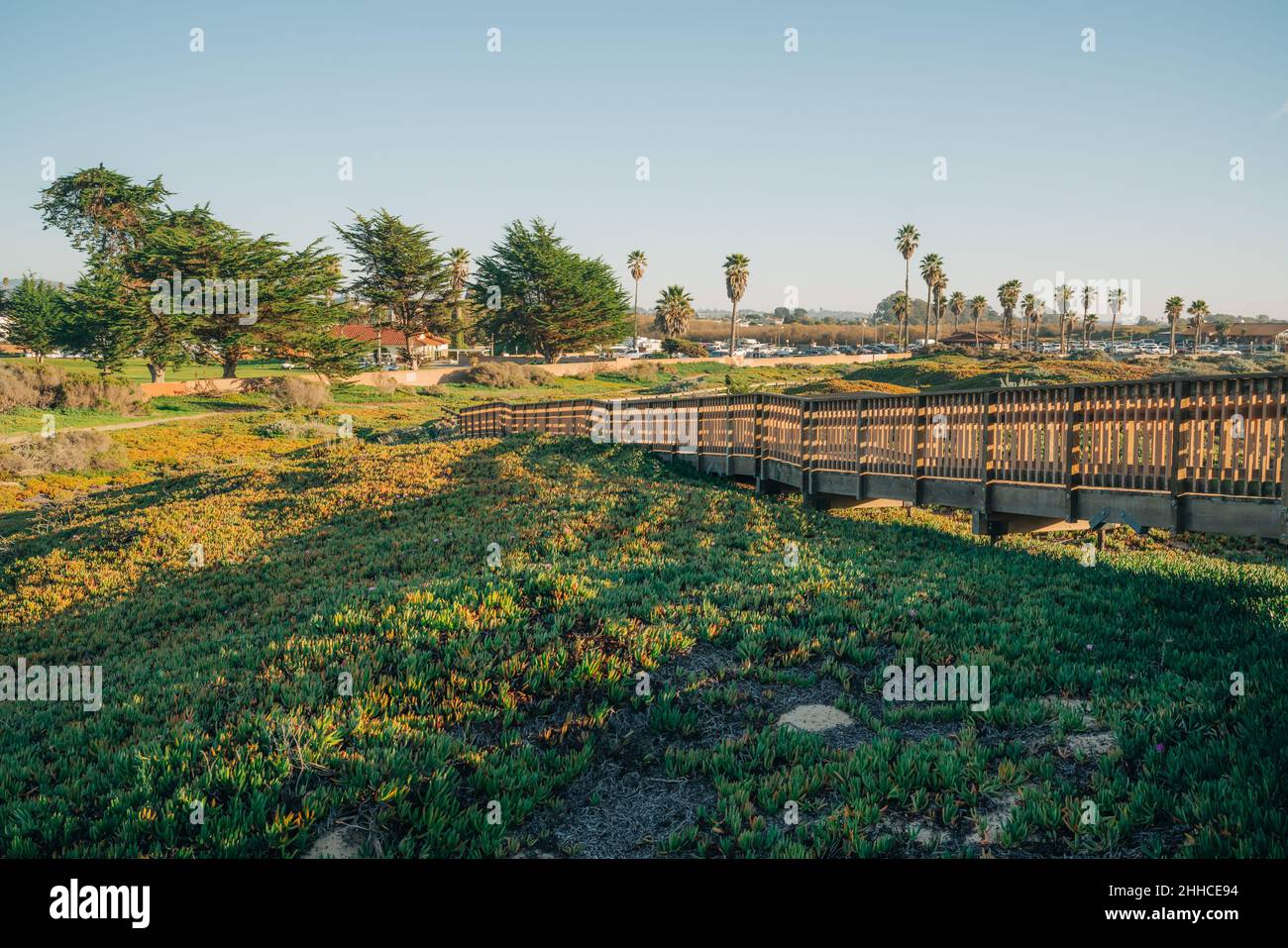 Holzboardwalk durch mehrere verschiedene natürliche Lebensräume für die Betrachtung der Flora und Fauna, Oceano, California Central Coast Stockfoto