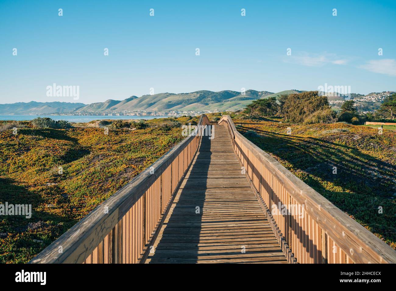 Holzboardwalk durch mehrere verschiedene natürliche Lebensräume für die Betrachtung der Flora und Fauna, Oceano, California Central Coast Stockfoto