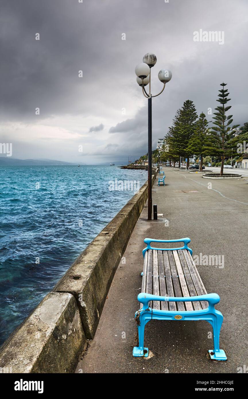 Straßenlaterne und Bank am Meer von Wellington, der Hauptstadt Neuseelands Stockfoto