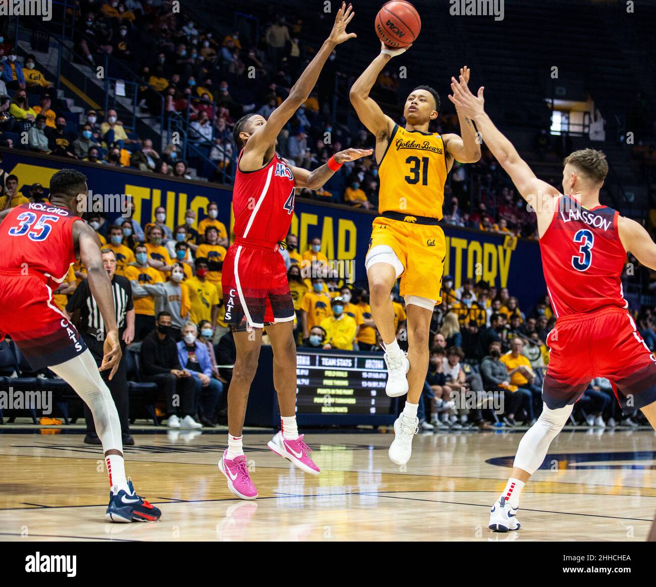 Januar 23 2022 Berkeley, CA USA der kalifornische Wärter Jordan Shepherd (31) fährt während des NCAA Männer Basketballspiels zwischen Arizona Wildcats und den California Golden Bears zum Reifen. Die Wildcats schlagen Kalifornien 96-71 im Hass Pavilion Berkeley Calif. Thurman James / (Foto: Thurman James/CSM/Sipa USA) Stockfoto