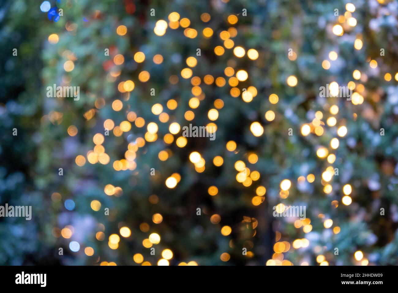 Weihnachtsbaum Licht Bokeh Hintergrund. Festliche Dekoration in Weihnachtsstimmung Stockfoto